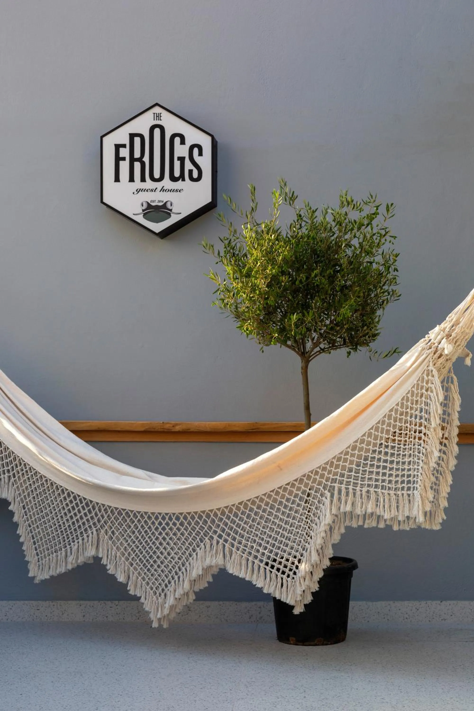 The Frogs_Guest House