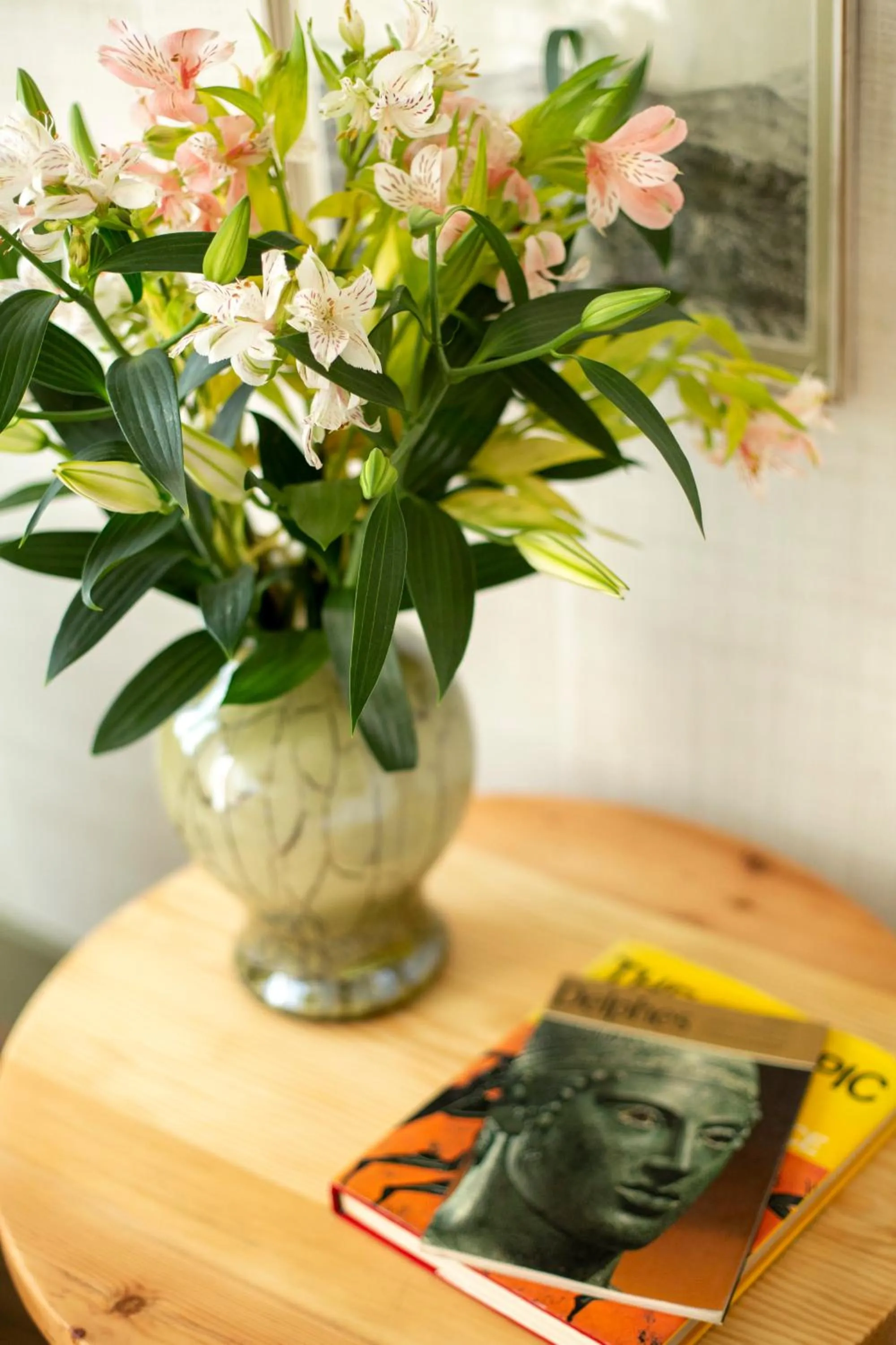 The Frogs_Guest House