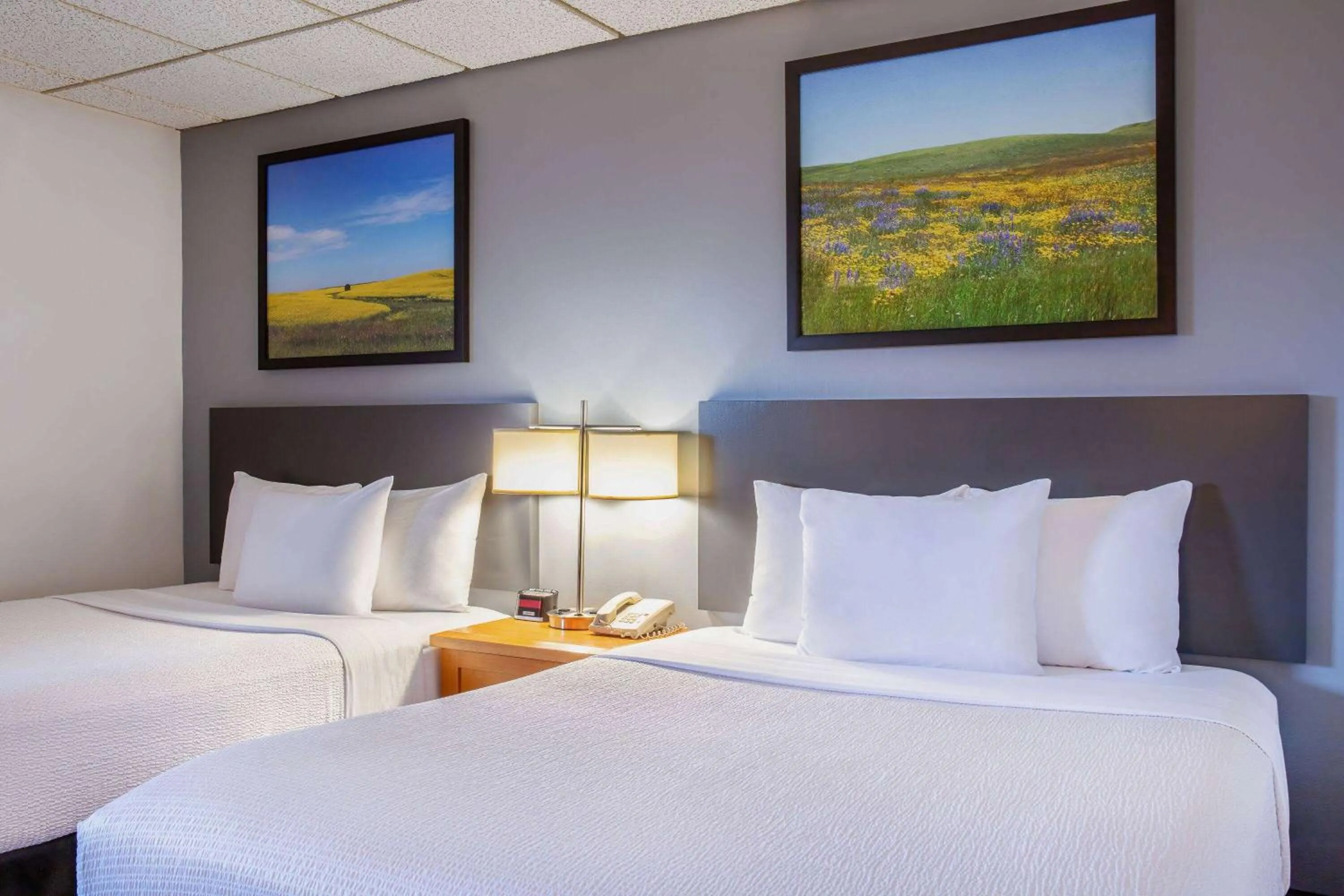 Bed in Days Inn & Conference Centre by Wyndham Camrose Norsemen