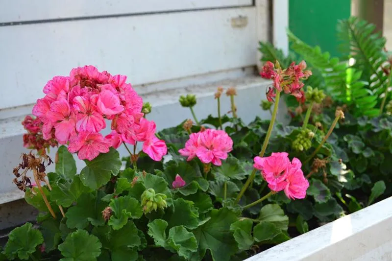 Hotel Hohenstein -Radweg-Messe-Baldeneysee