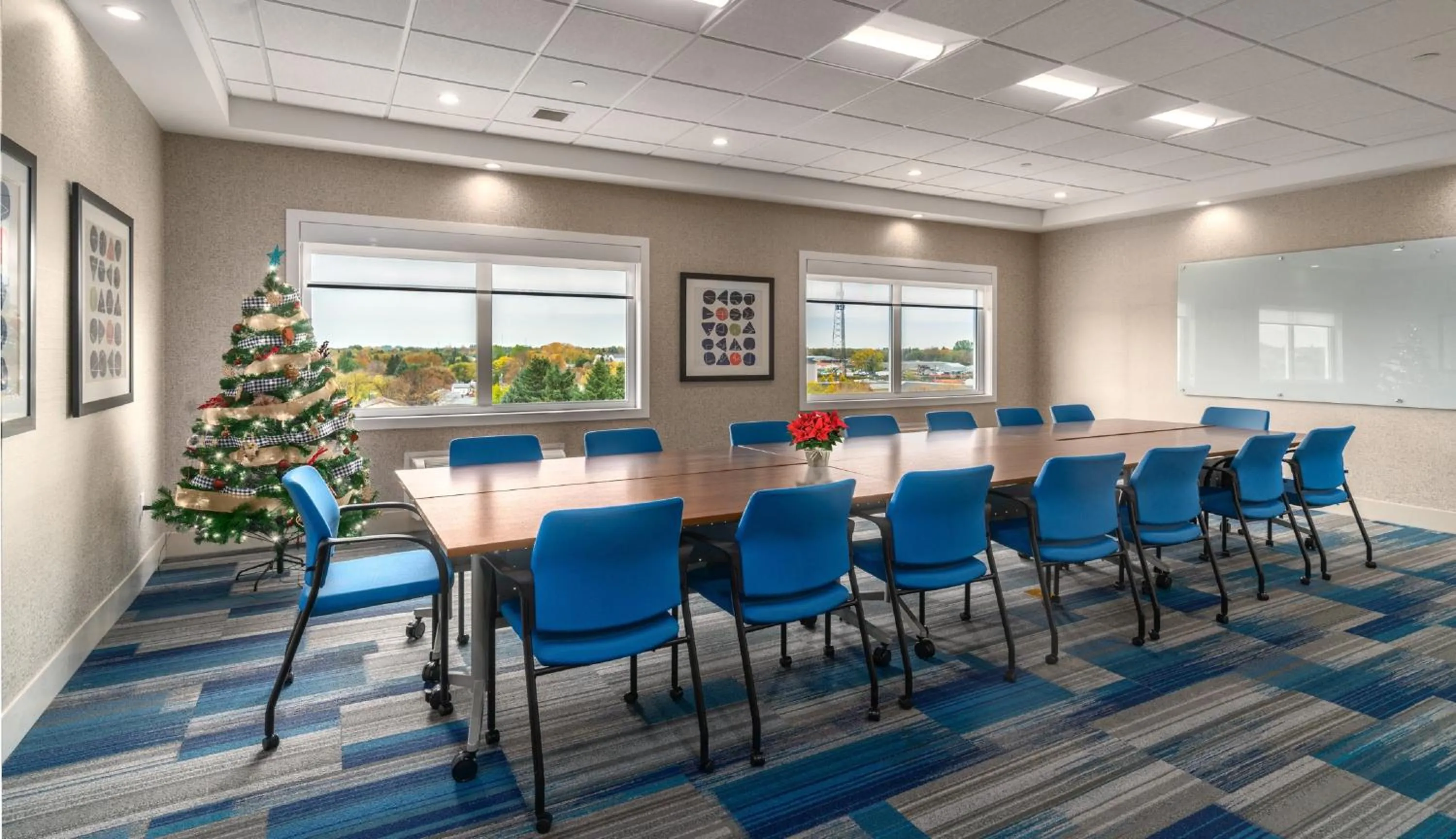 Meeting/conference room in Holiday Inn Express & Suites - Brandon by IHG