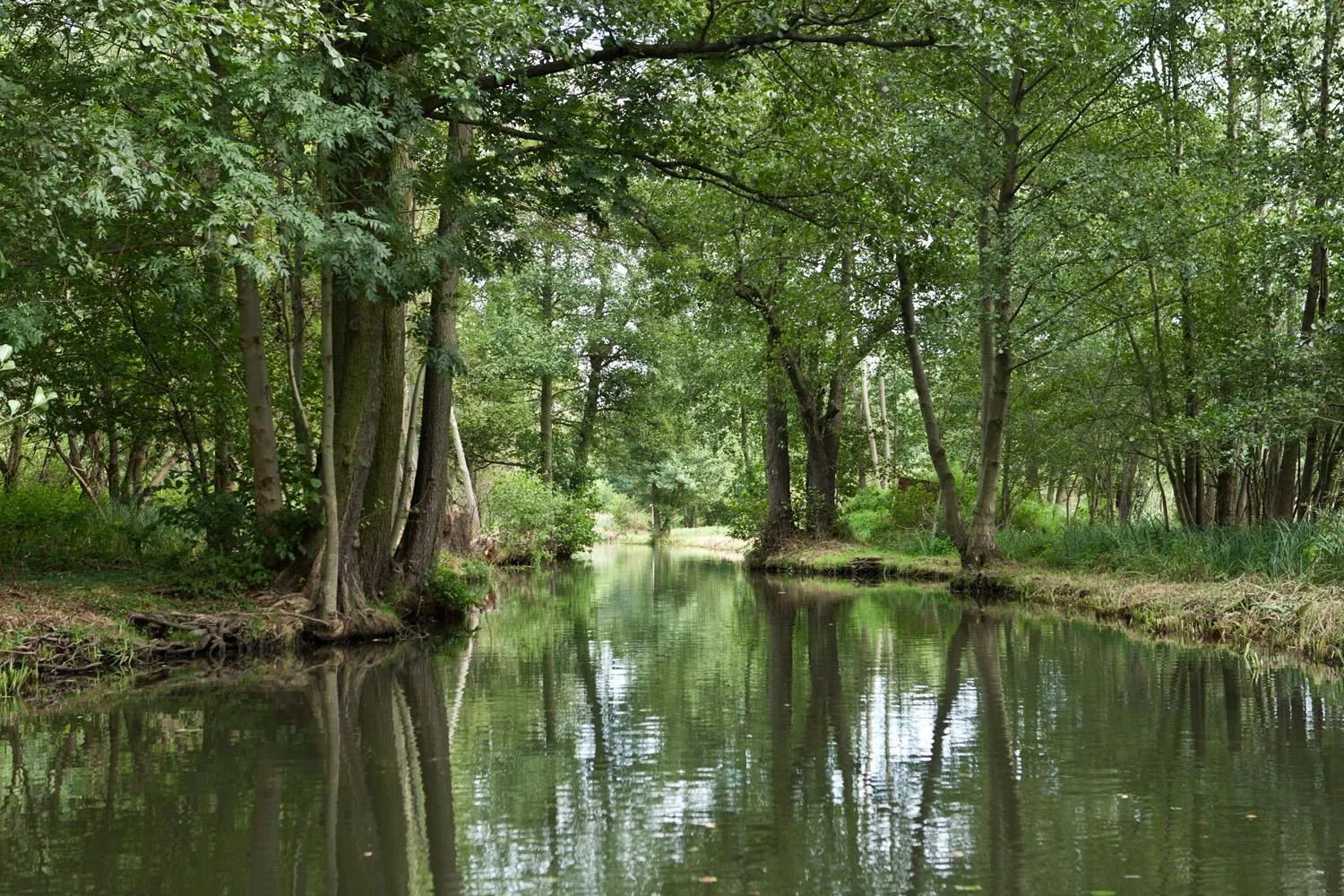 Other in Urlaubsresidenz Marstall und Kanzlei im Schlossensemble