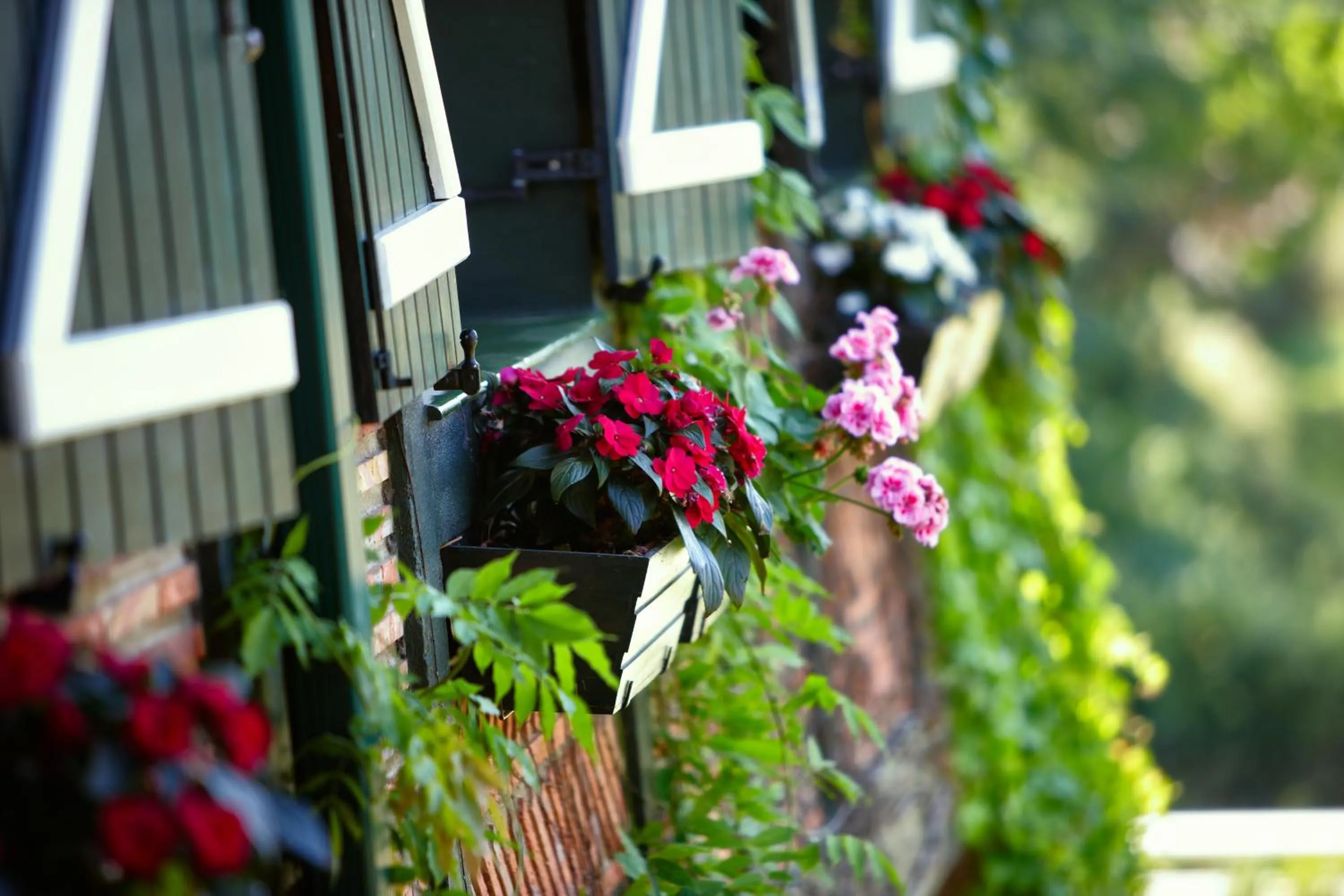 Decorative detail in Hotel Ibarra Zalla