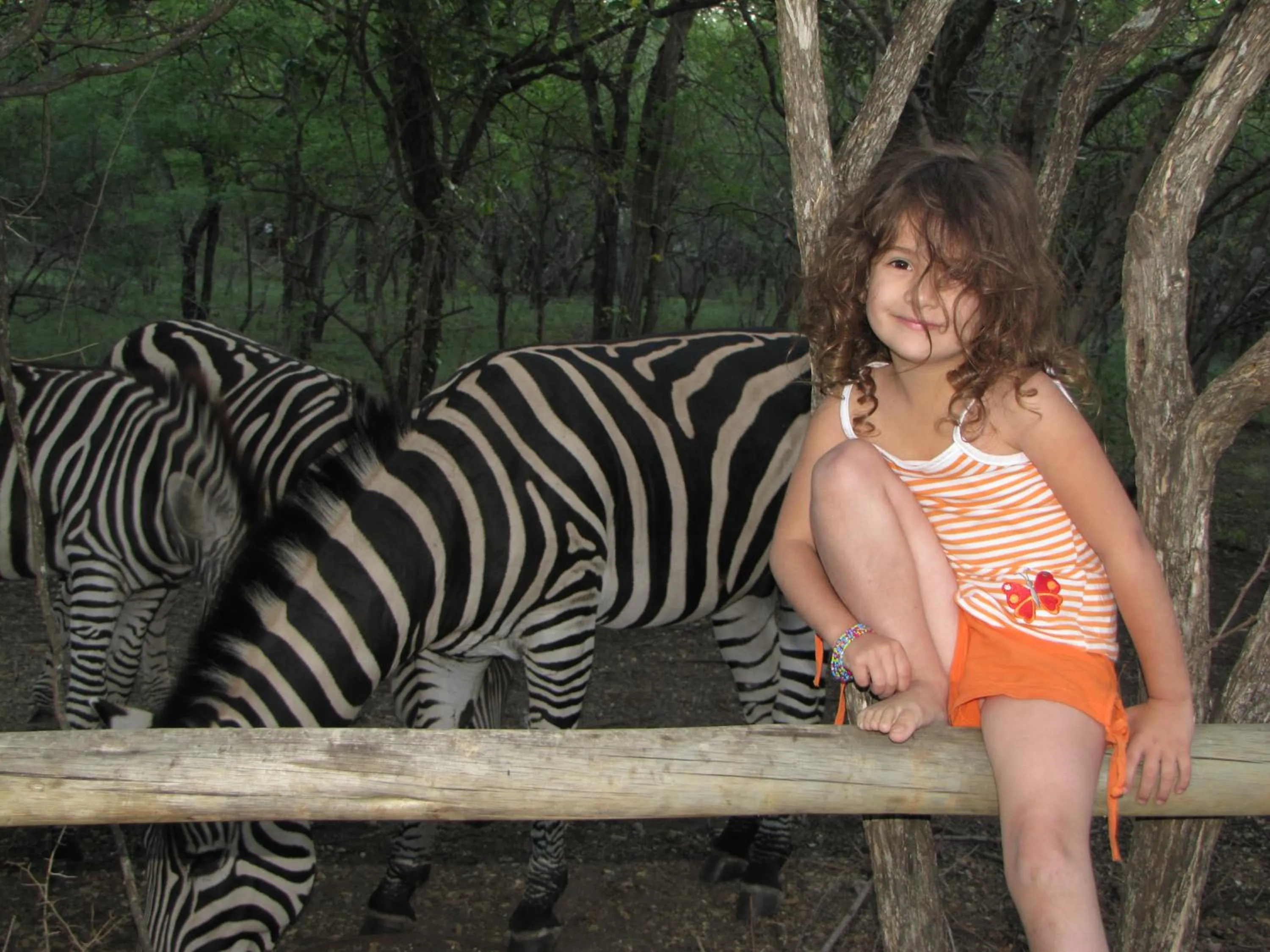 Animals in SERENITY Du Bois Lodge