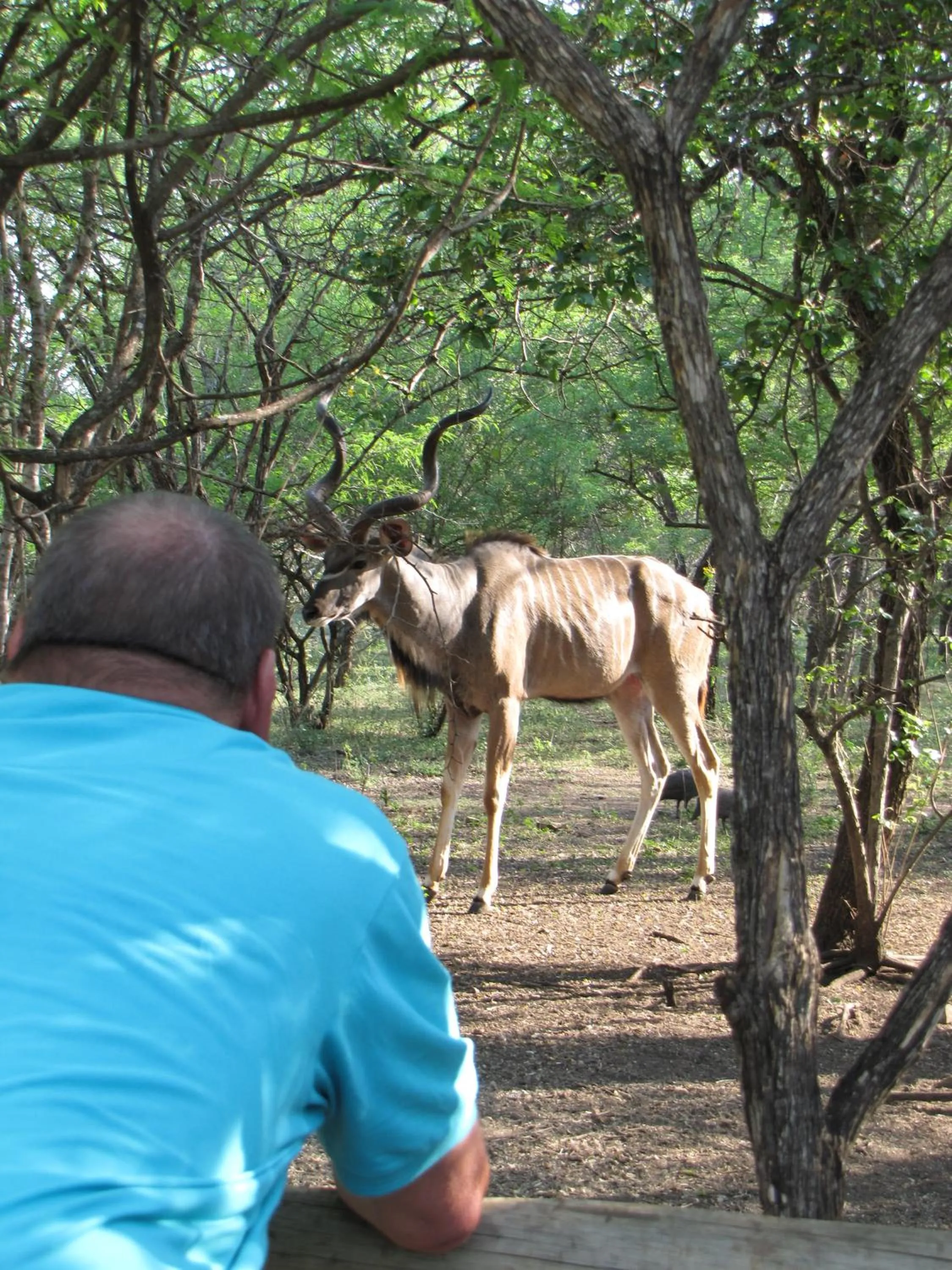 Animals in SERENITY Du Bois Lodge