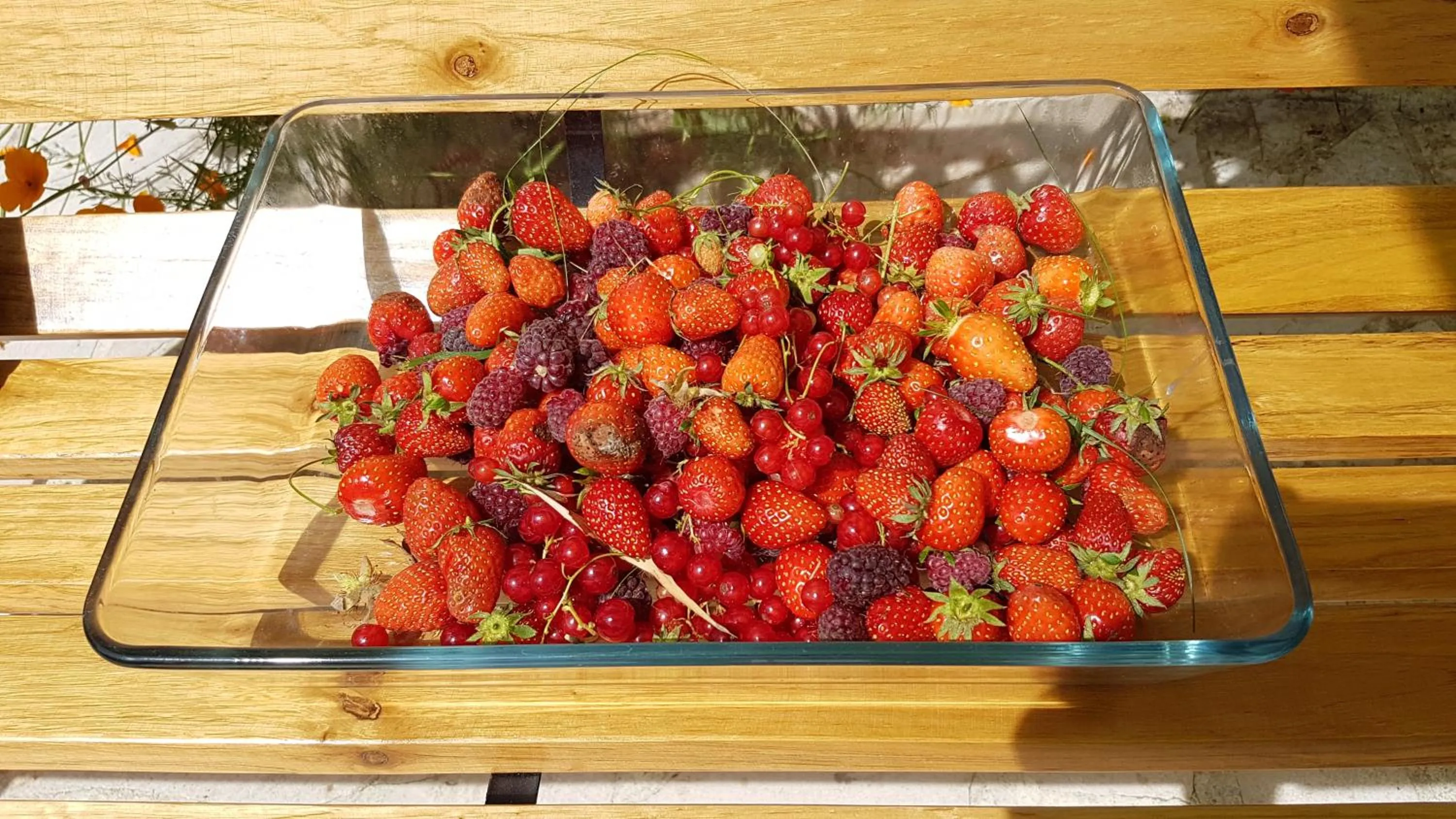 Chambre d'hôtes Liz'A