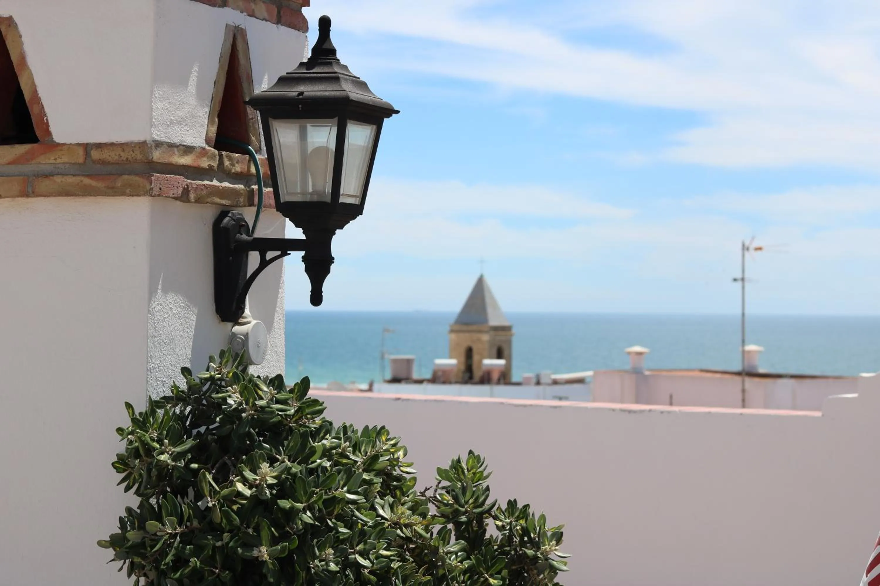 Spring in Hotel Restaurante Blanco y Verde