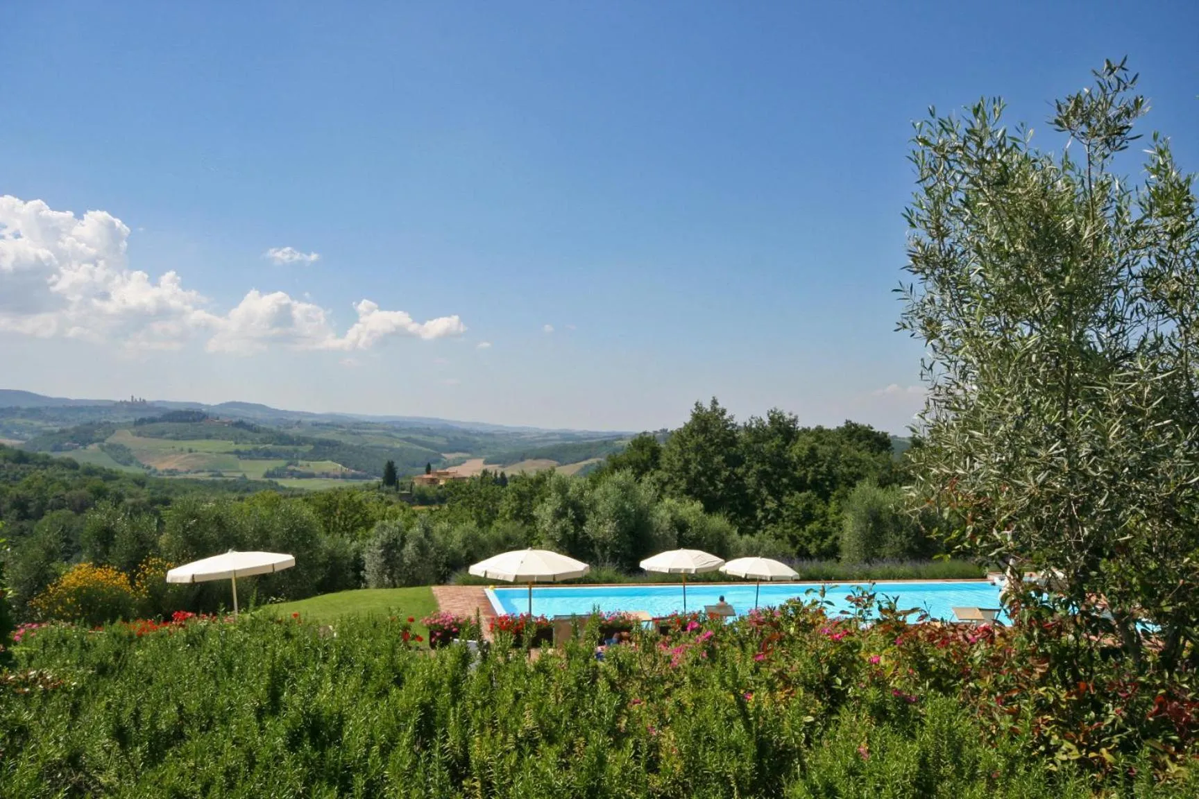 Pool view in Podere Il Pino