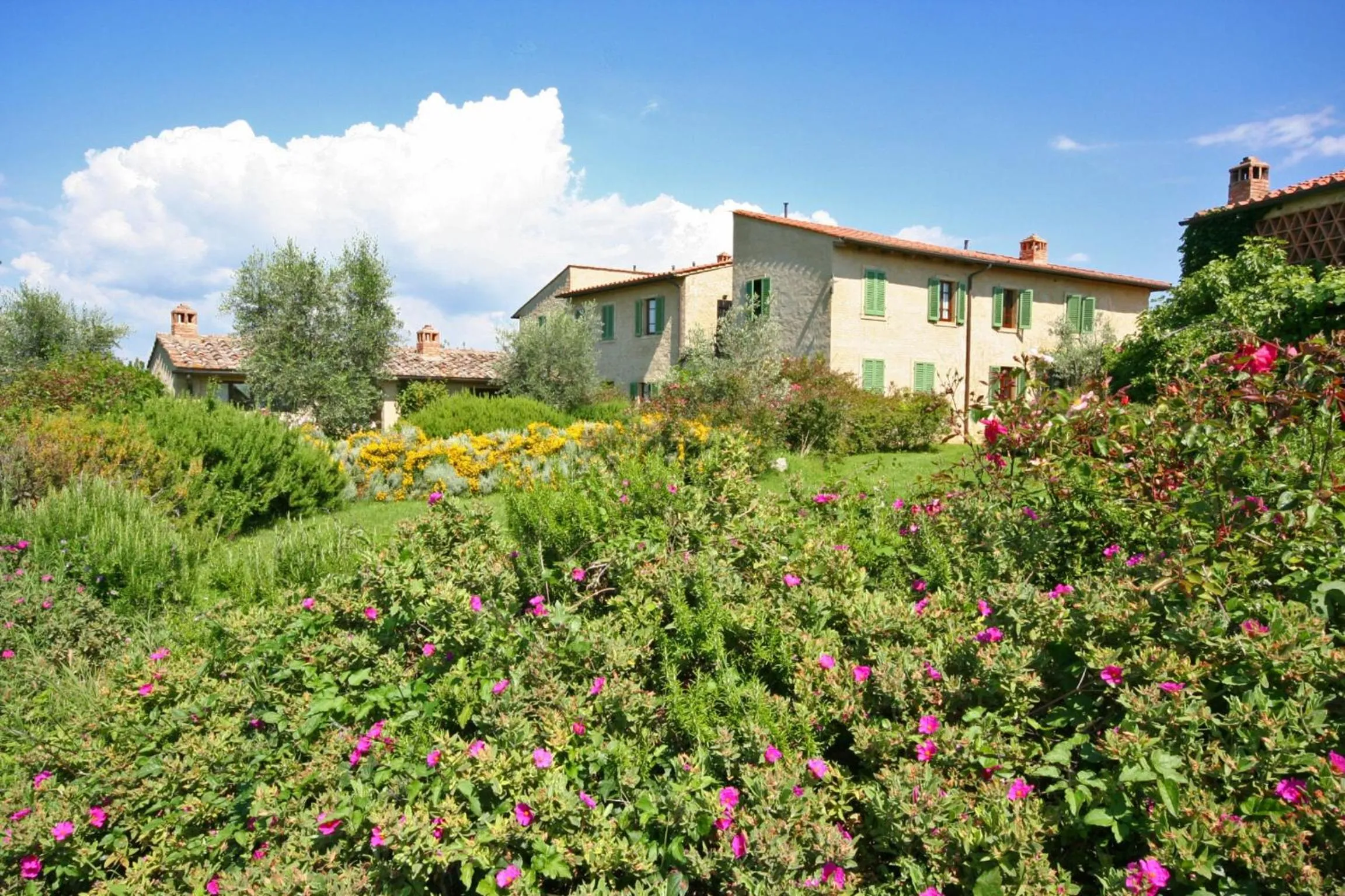 Facade/entrance in Podere Il Pino
