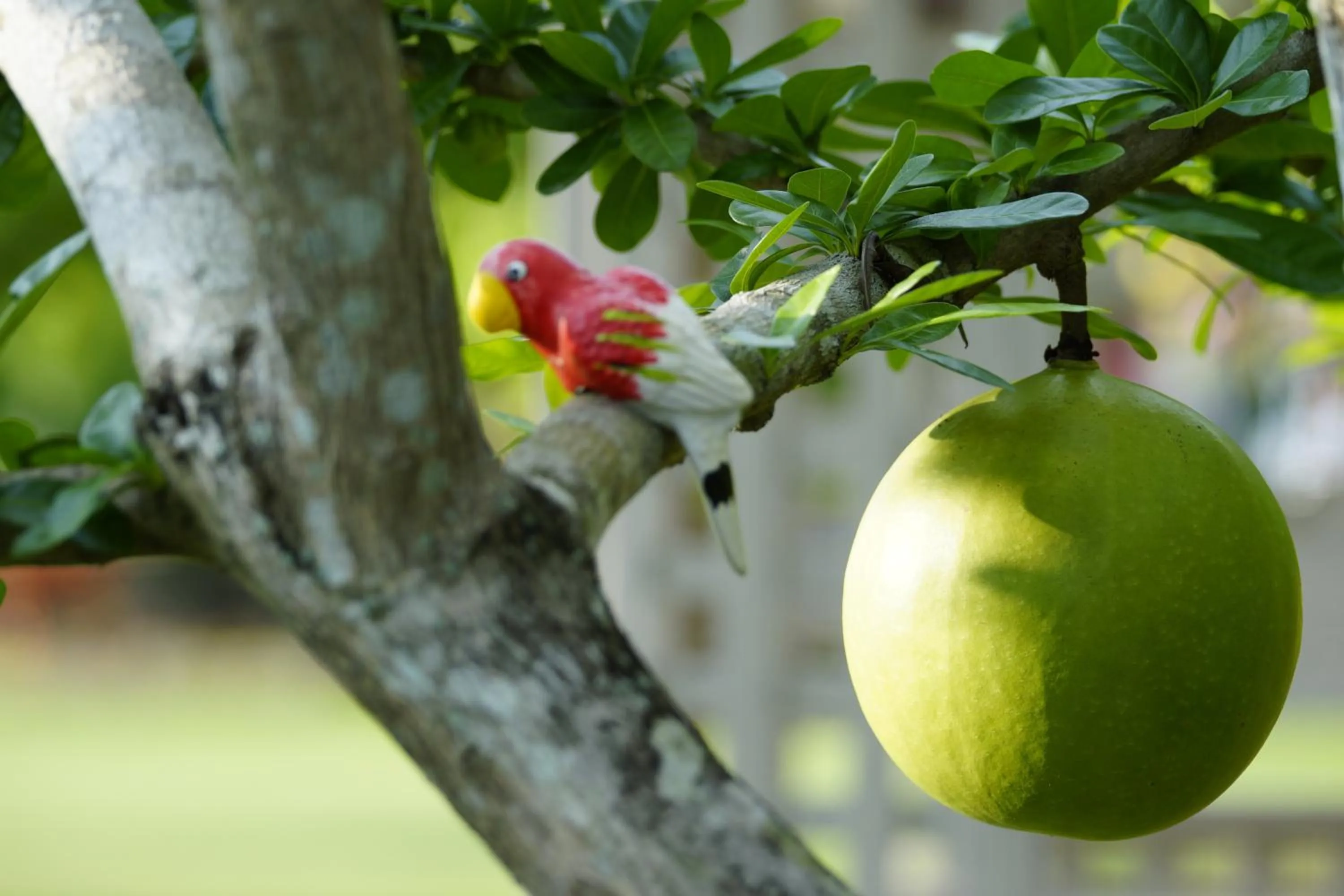 Garden in Perennial Resort