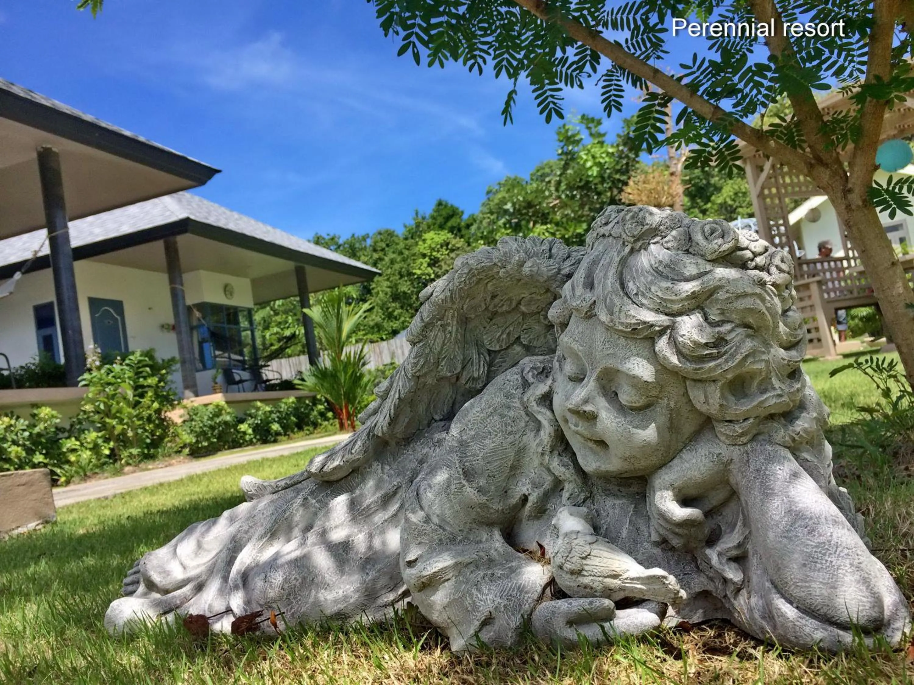 Garden in Perennial Resort