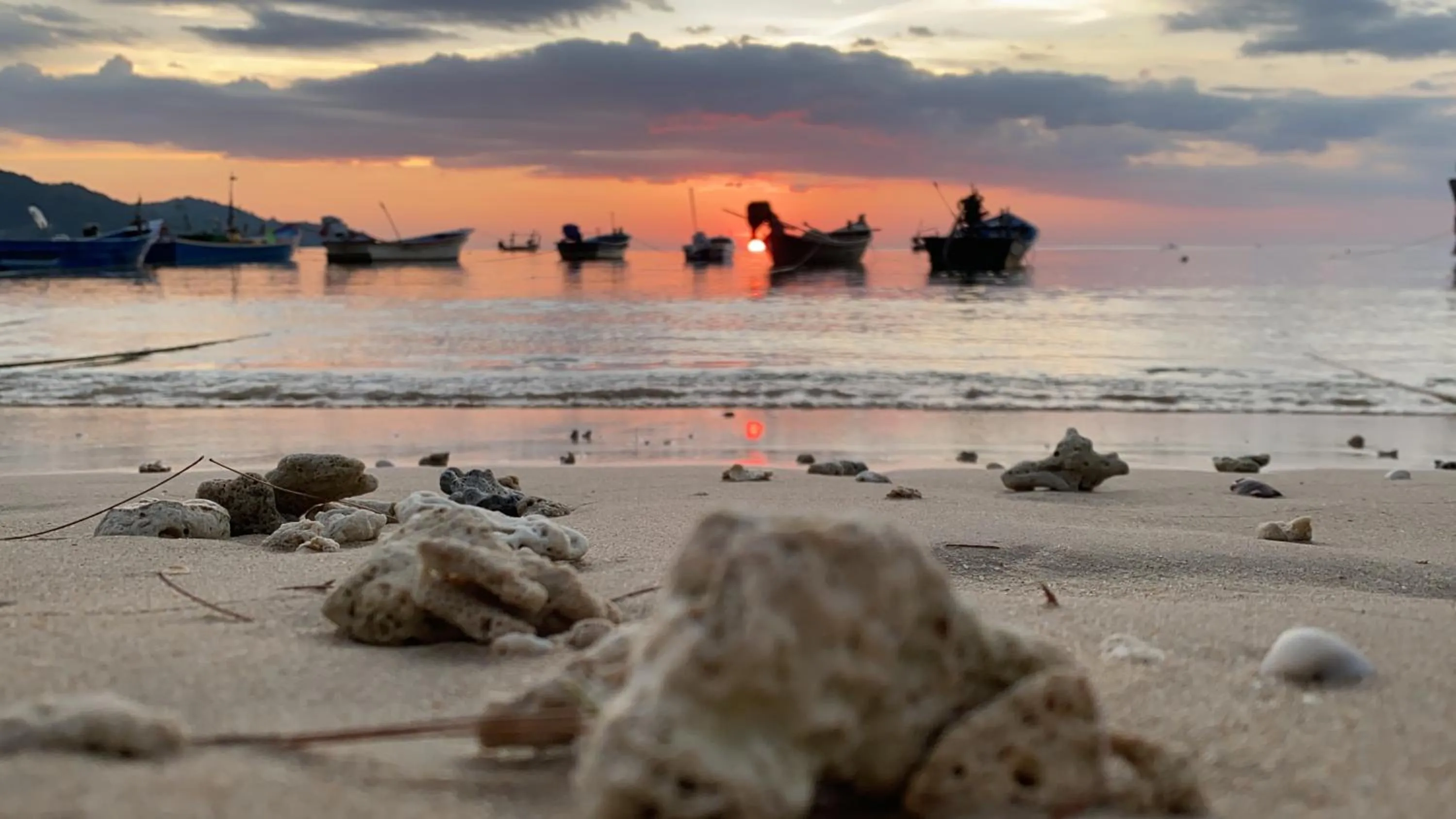 Beach in Perennial Resort