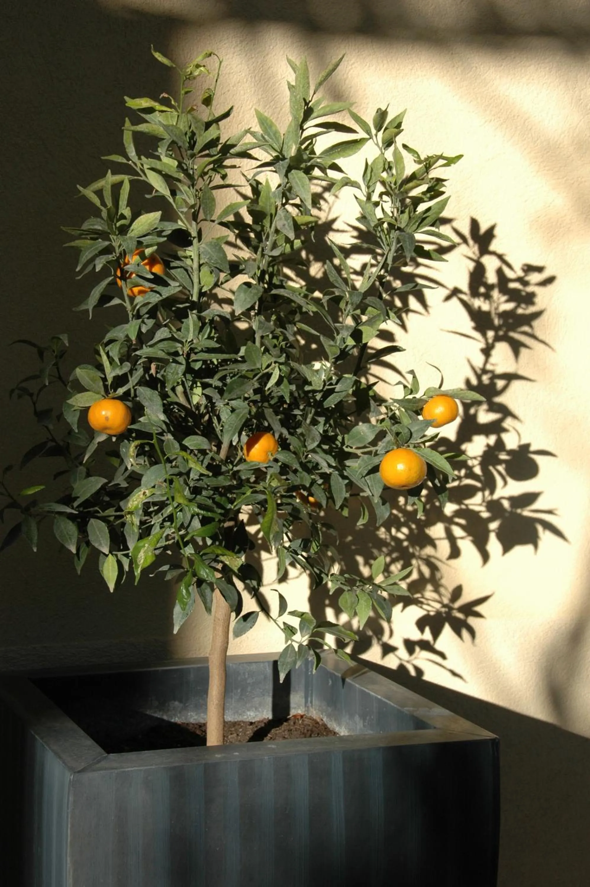 Patio in Le Vieux Logis Chambres d'Hôtes