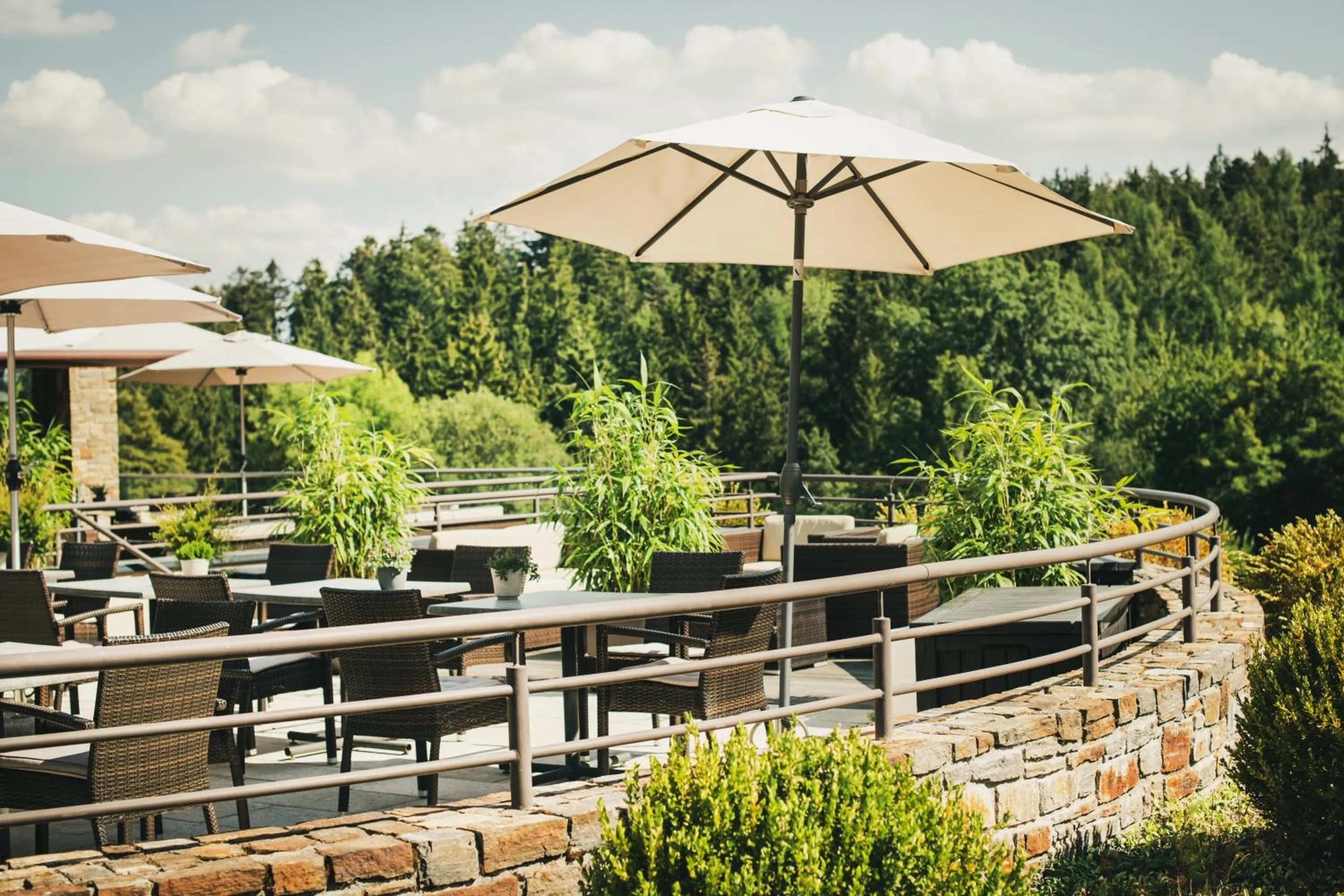 Balcony/Terrace in Hotel Lauterbad