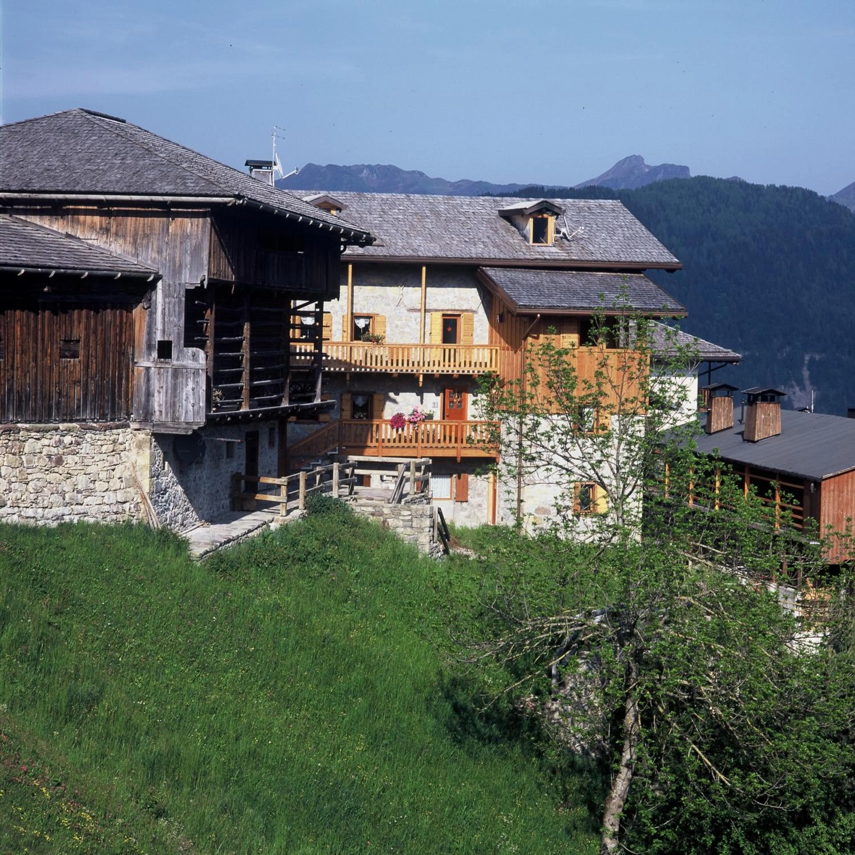 Property building in Albergo Diffuso Sauris in Sauris Di Sopra
