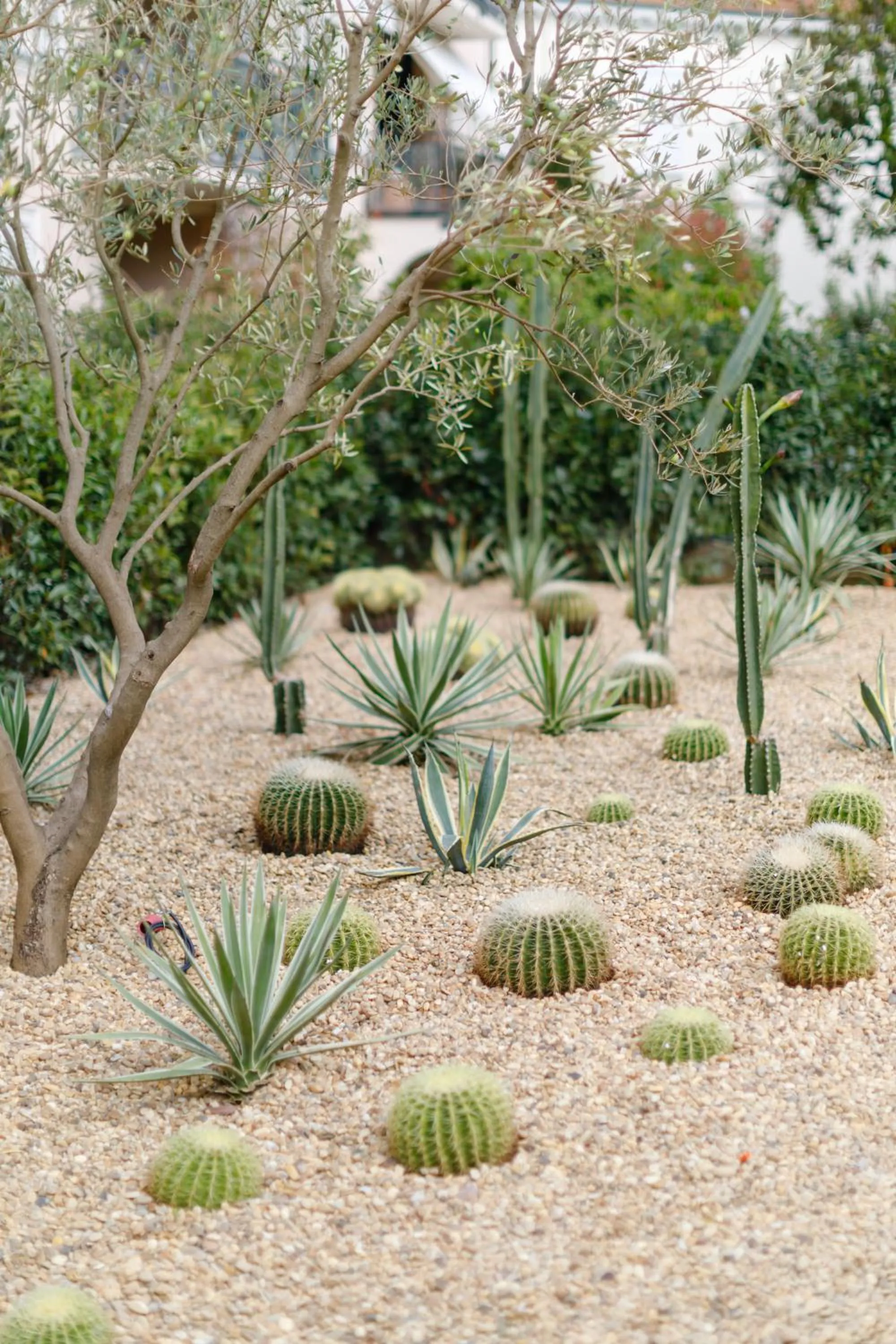 Garden in Hotel Verlaine