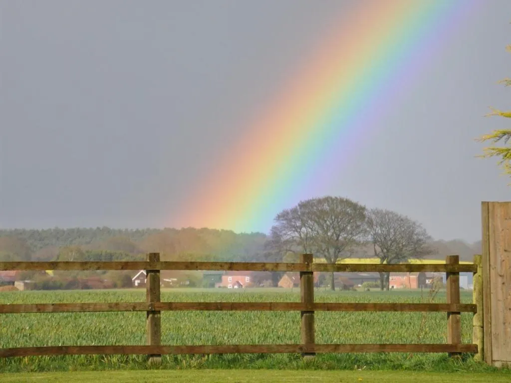 View (from property/room) in The Hayloft at Oakwood Barn