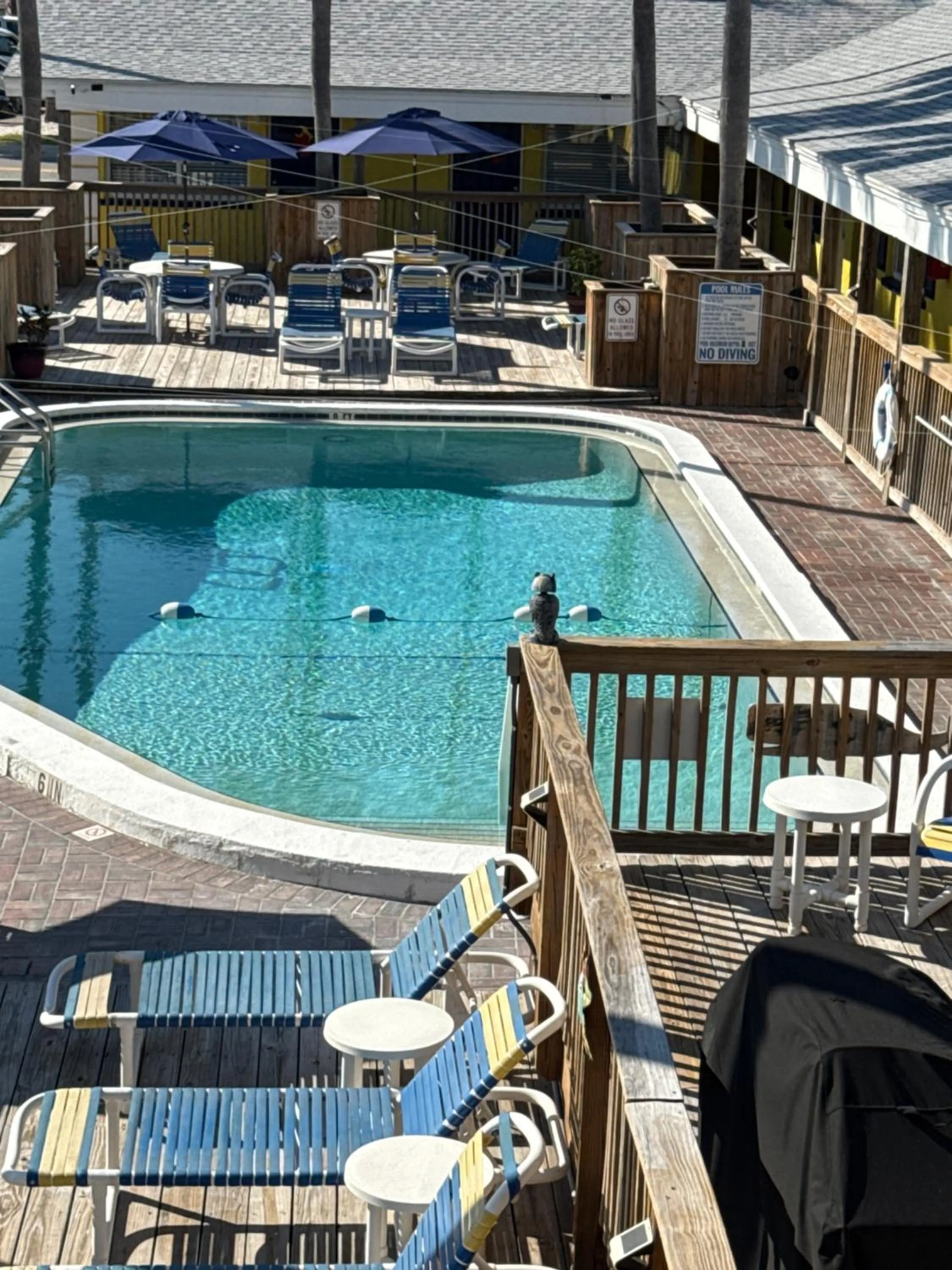 Swimming pool in Barefoot Bay Resort Motel