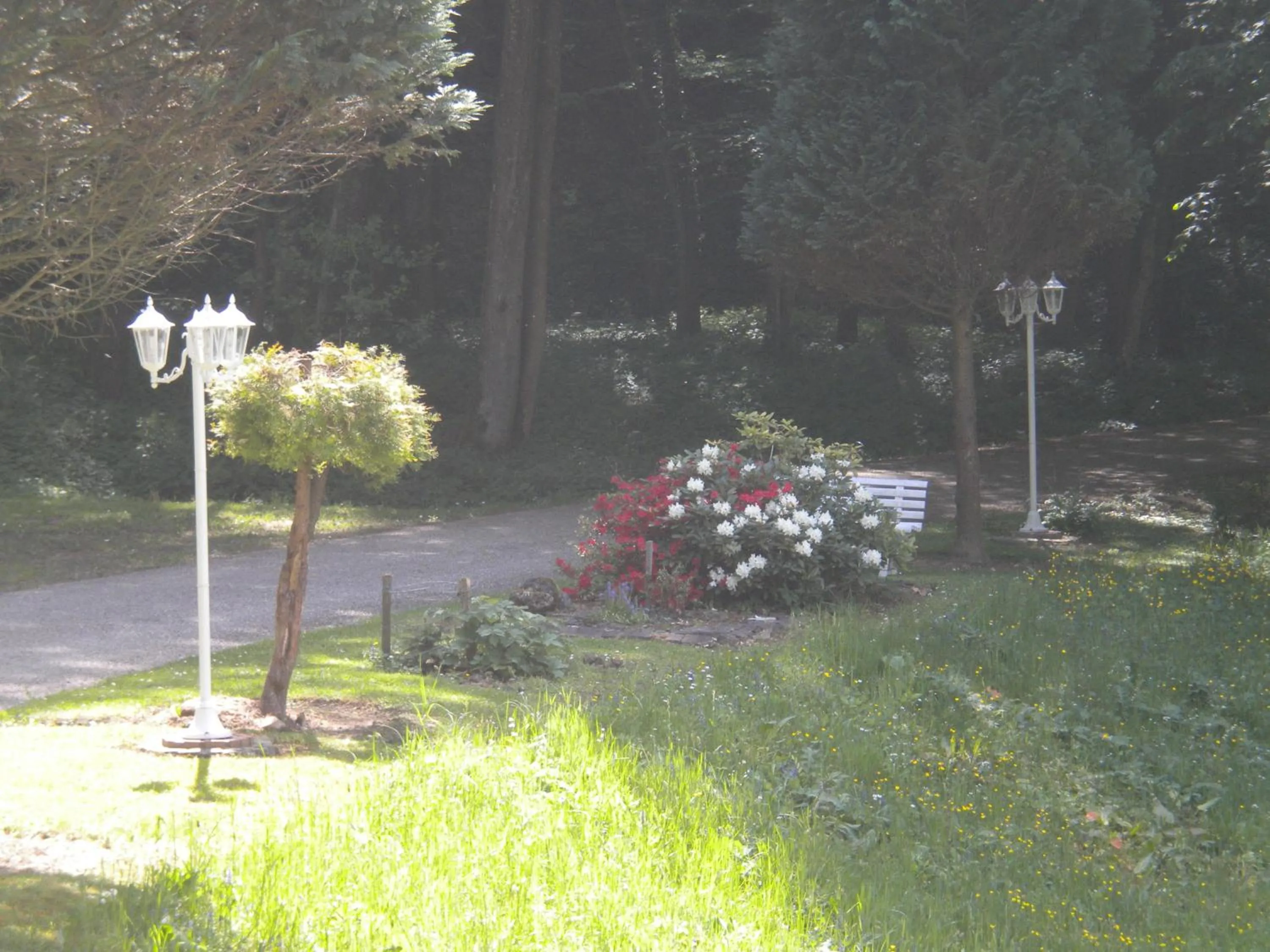 Buchschneider - Ferienhaus Maier - Landhof