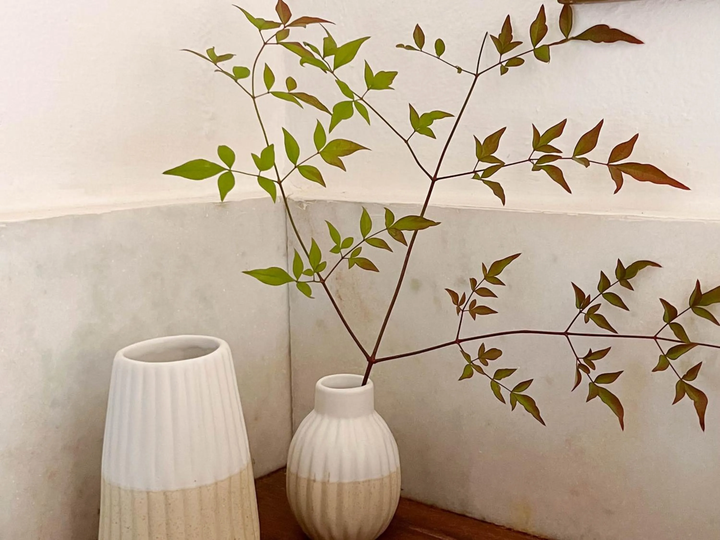 Decorative detail in Pousada Vagalume