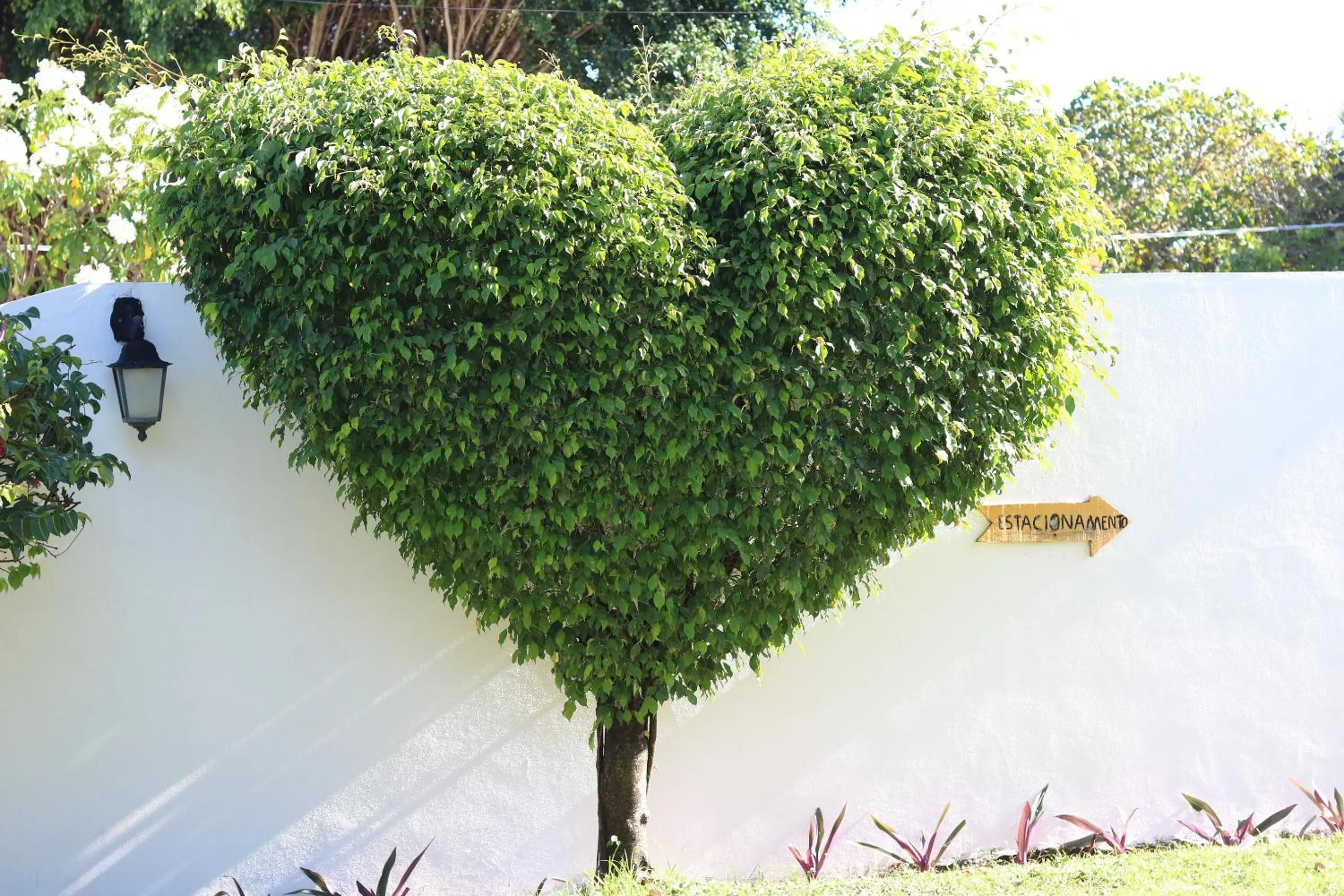 Decorative detail in Pousada Quatro Estações