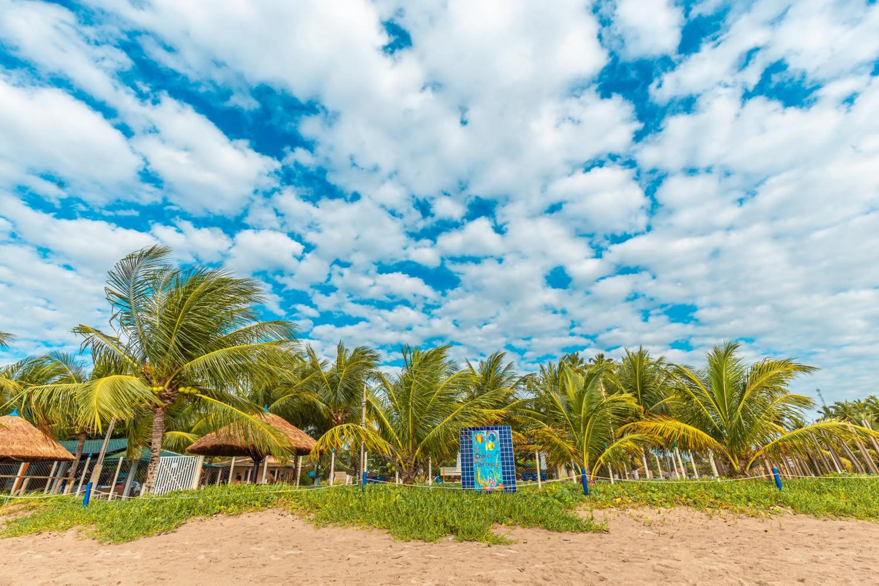 Beach in Chales Maragogi