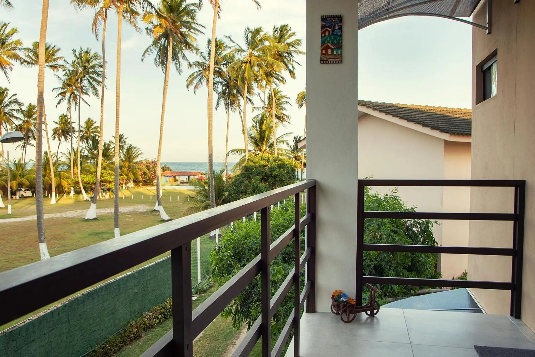 Bird's eye view in Chales Maragogi