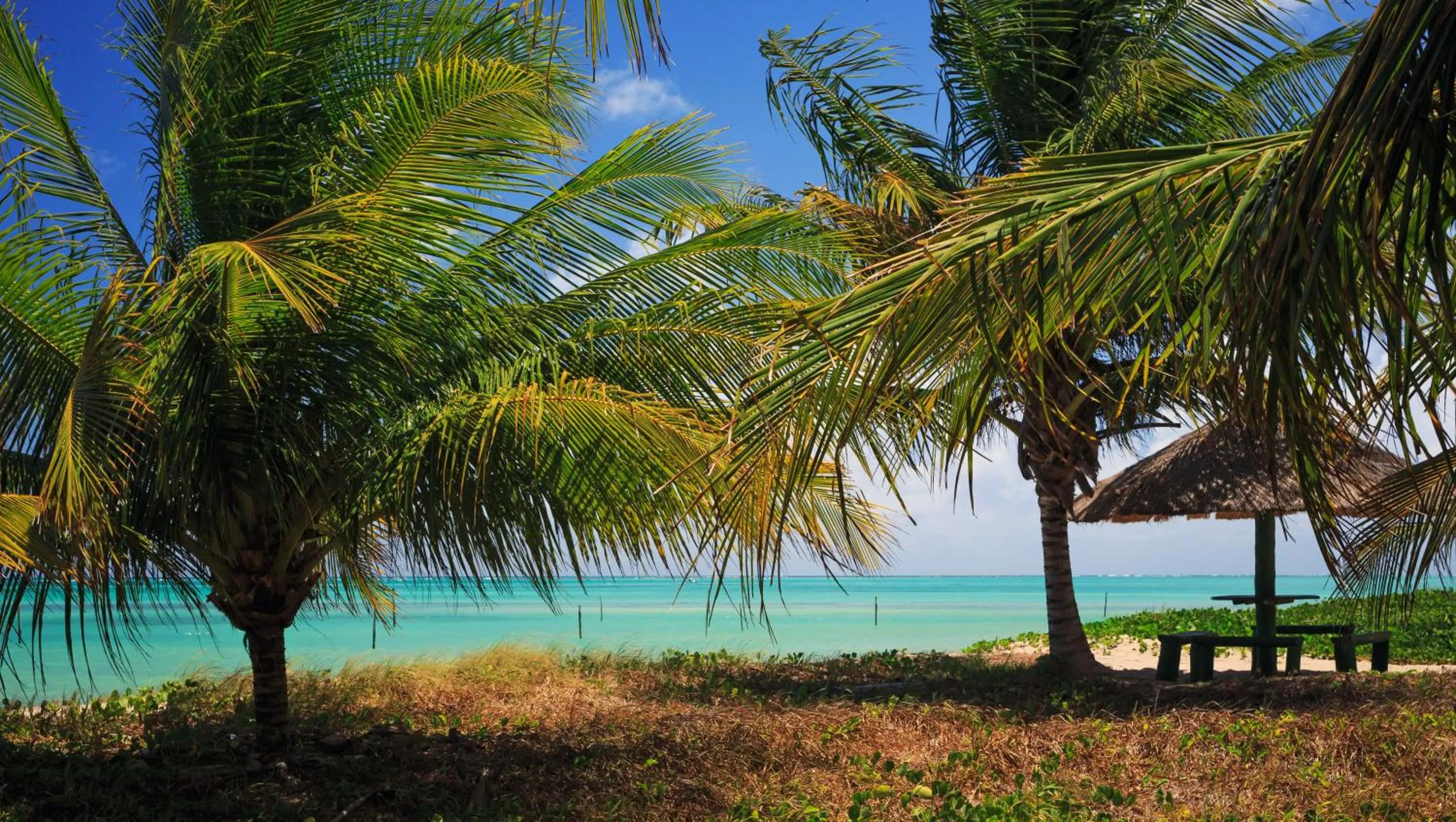 Property building in Chales Maragogi