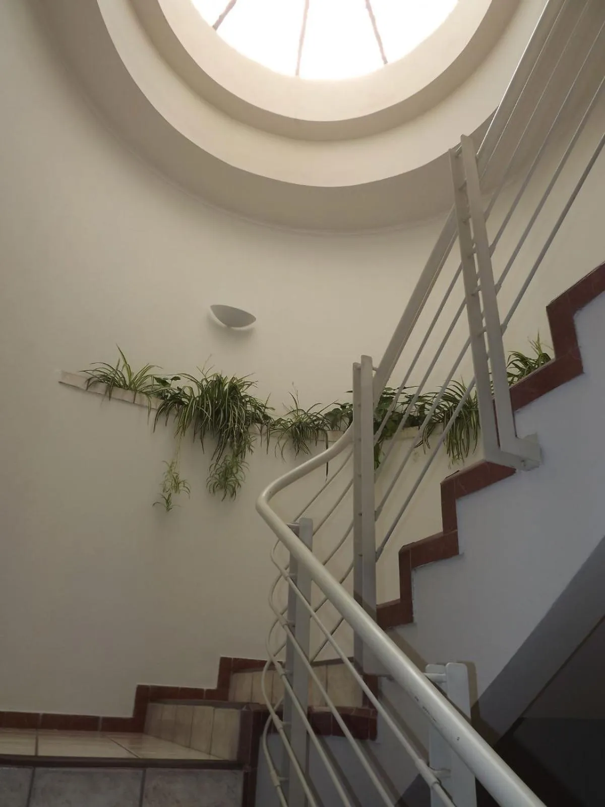 Hotel Mediterraneo Sa De Cv