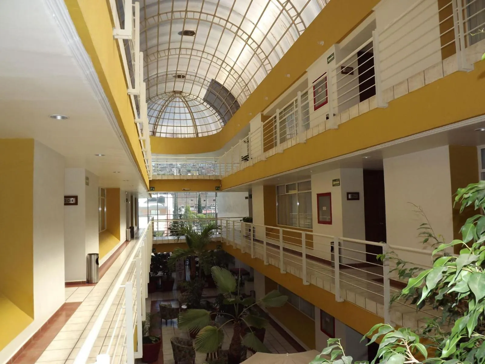 Hotel Mediterraneo Sa De Cv