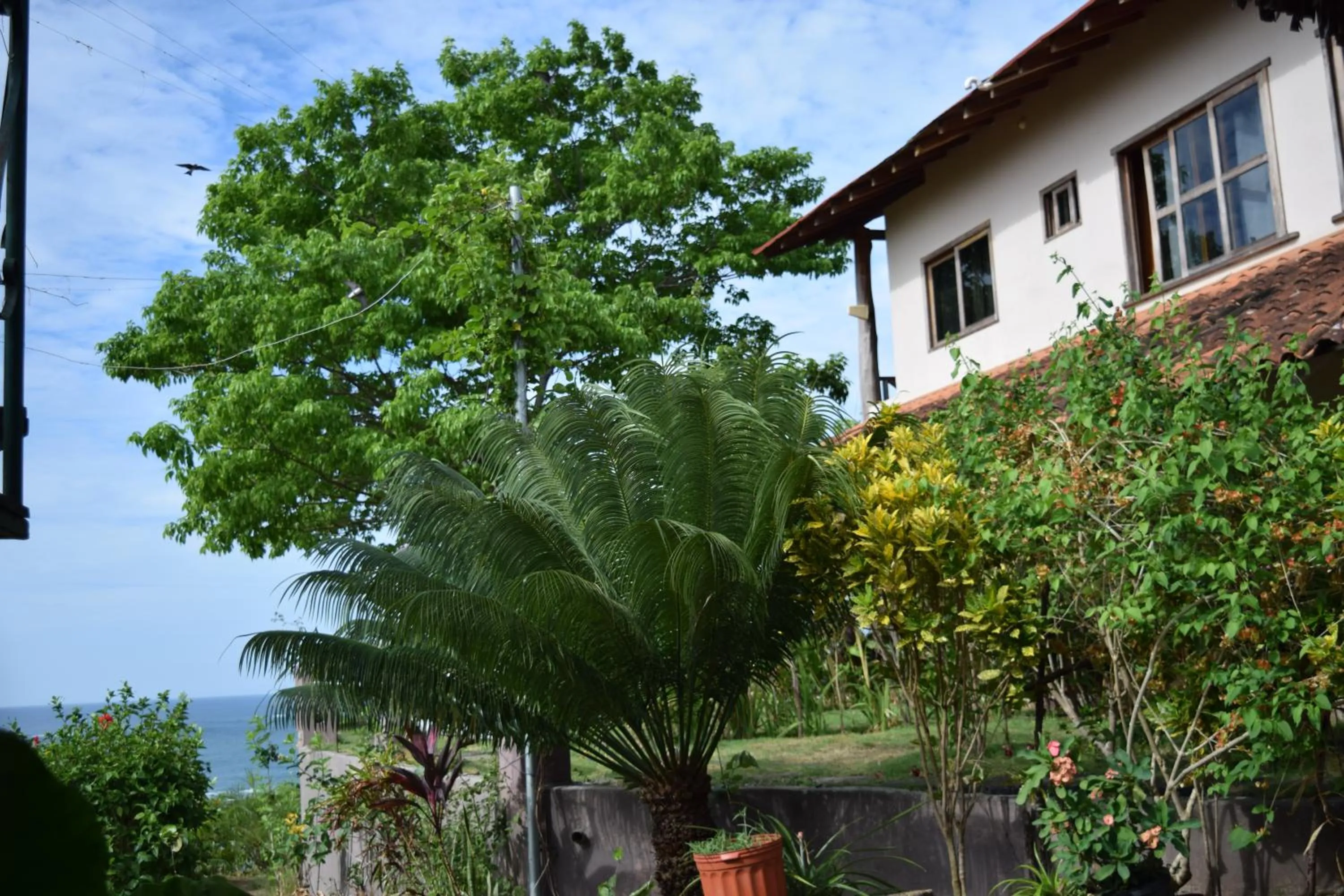 Property building in Hotel Kambutaleko