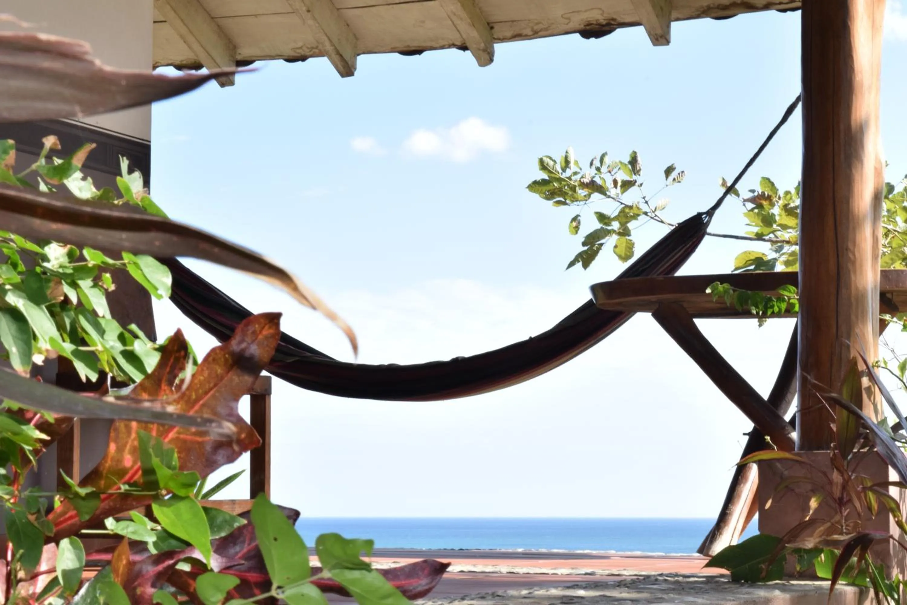 Sea view in Hotel Kambutaleko