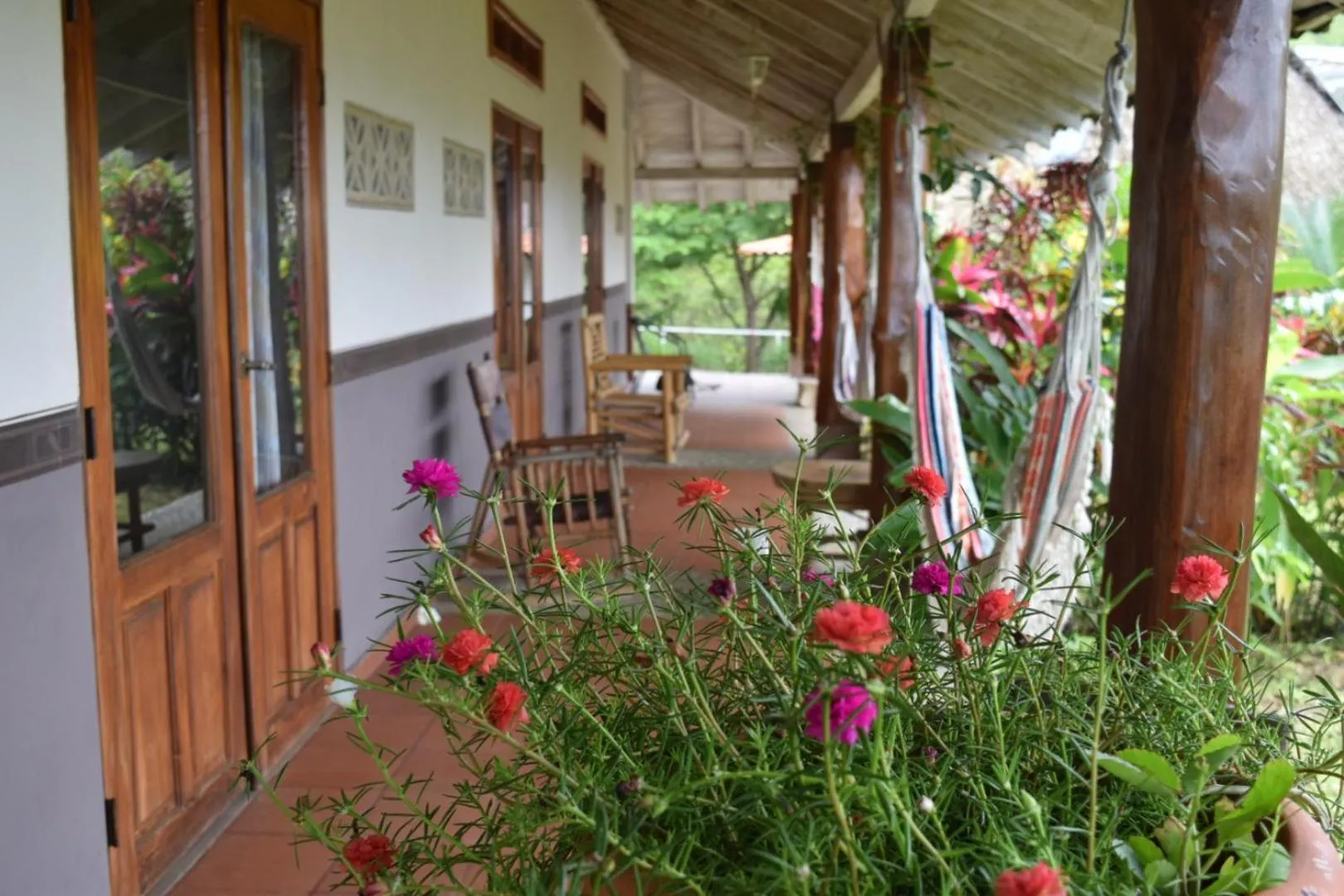 View (from property/room) in Hotel Kambutaleko