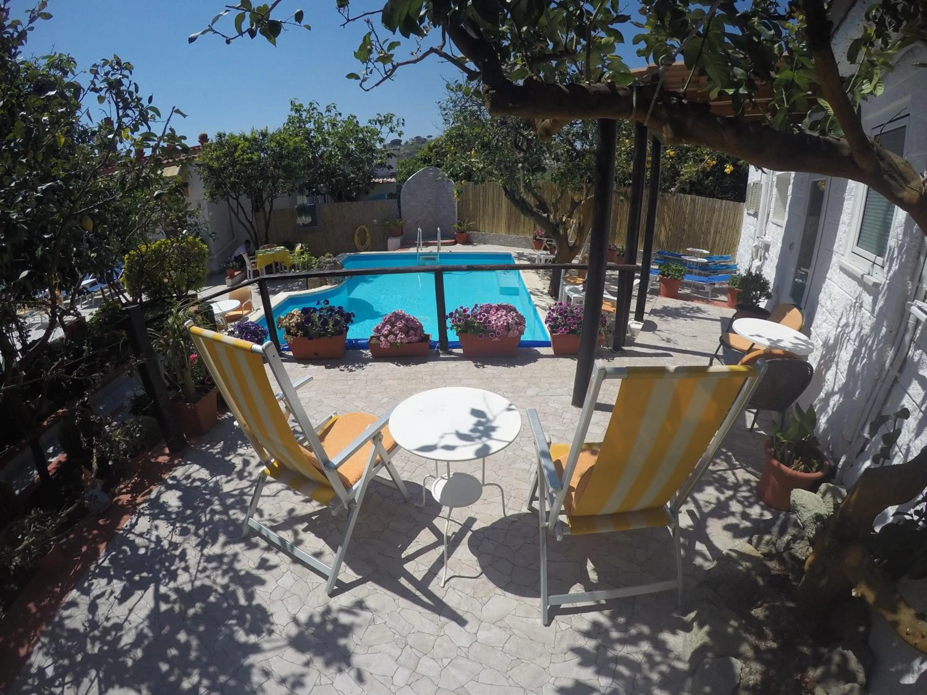 Pool view in hotel la rondinella