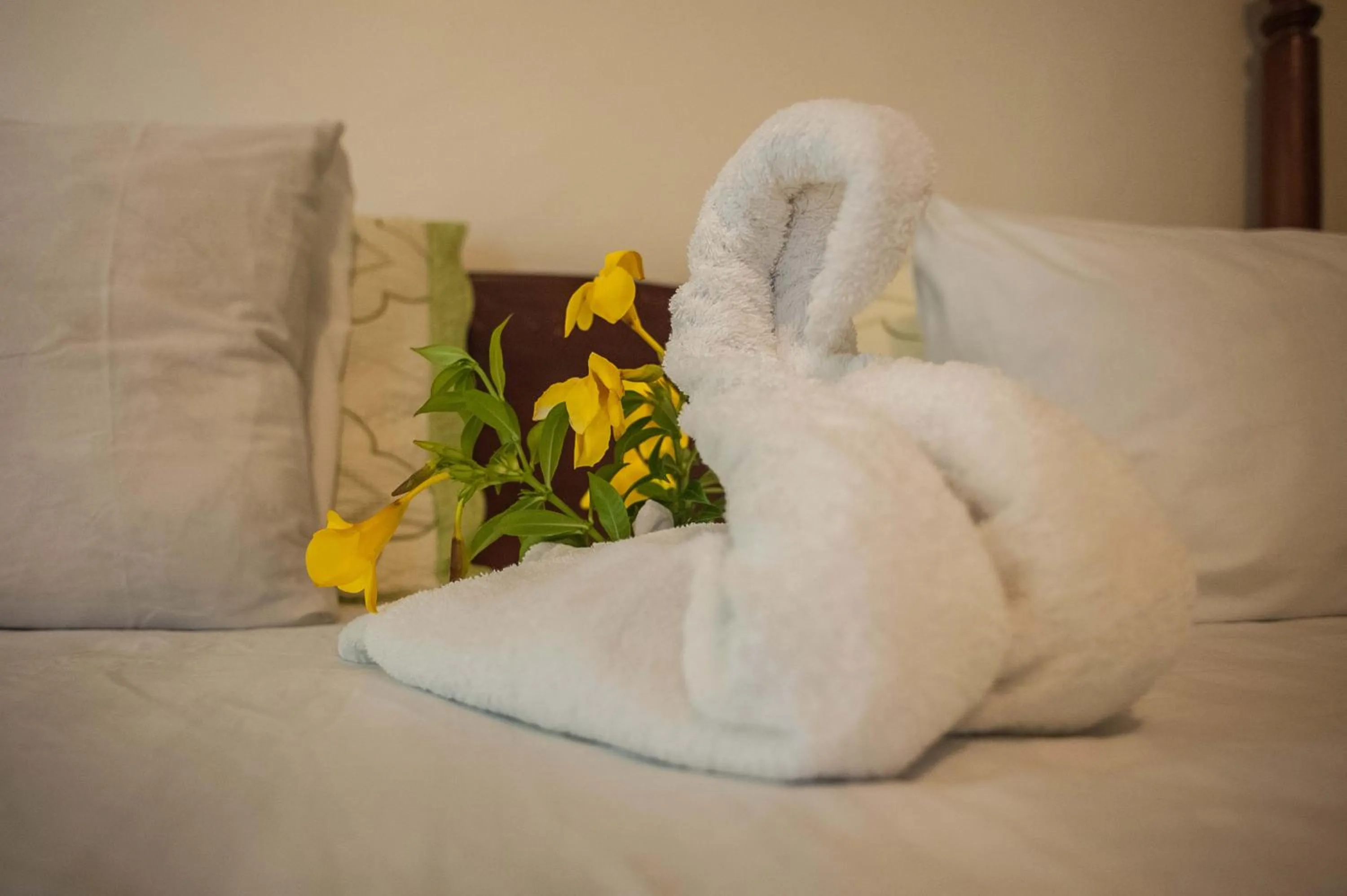 Bed in Clarridge View Guesthouse