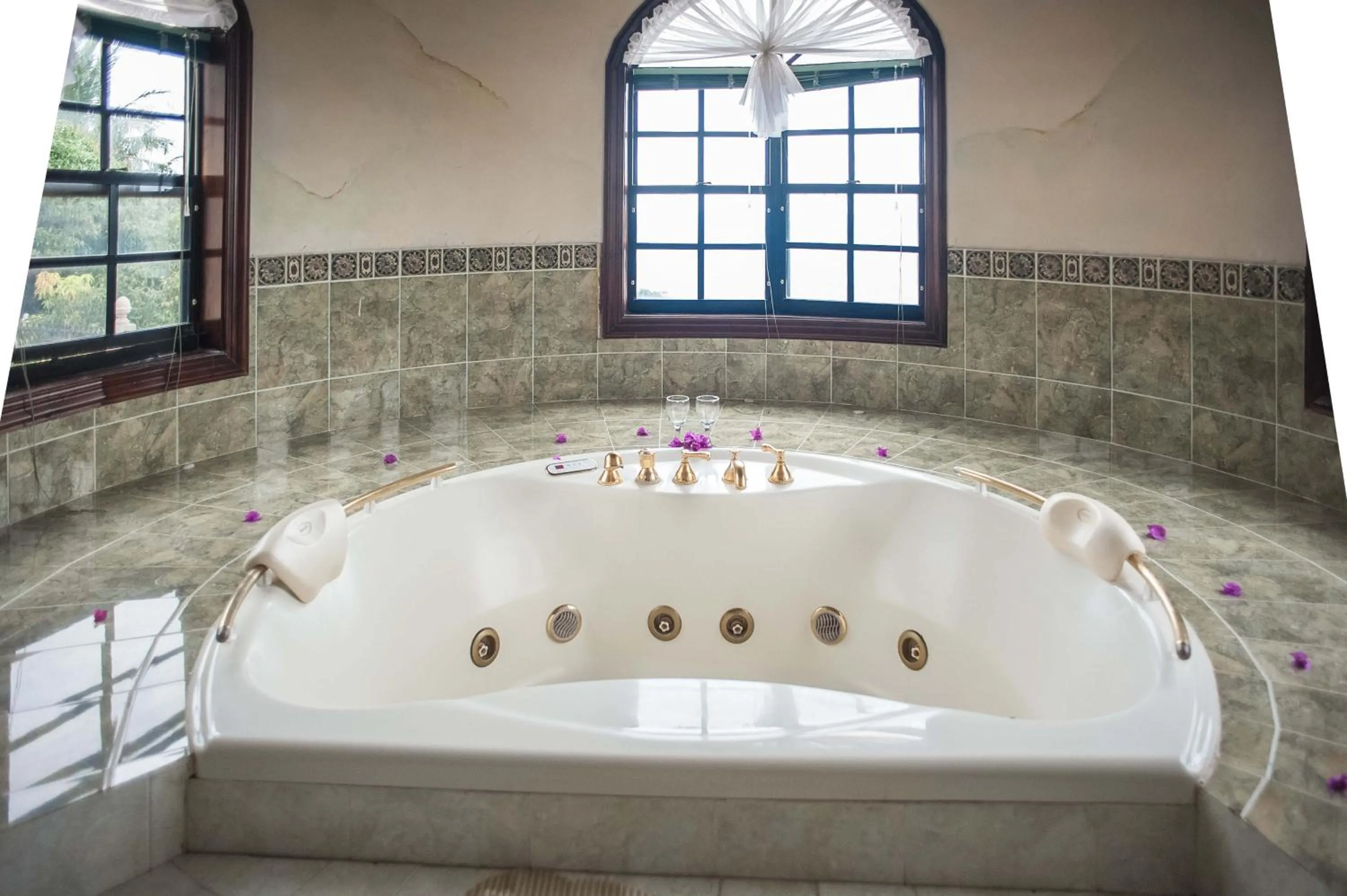 Area and facilities in Clarridge View Guesthouse