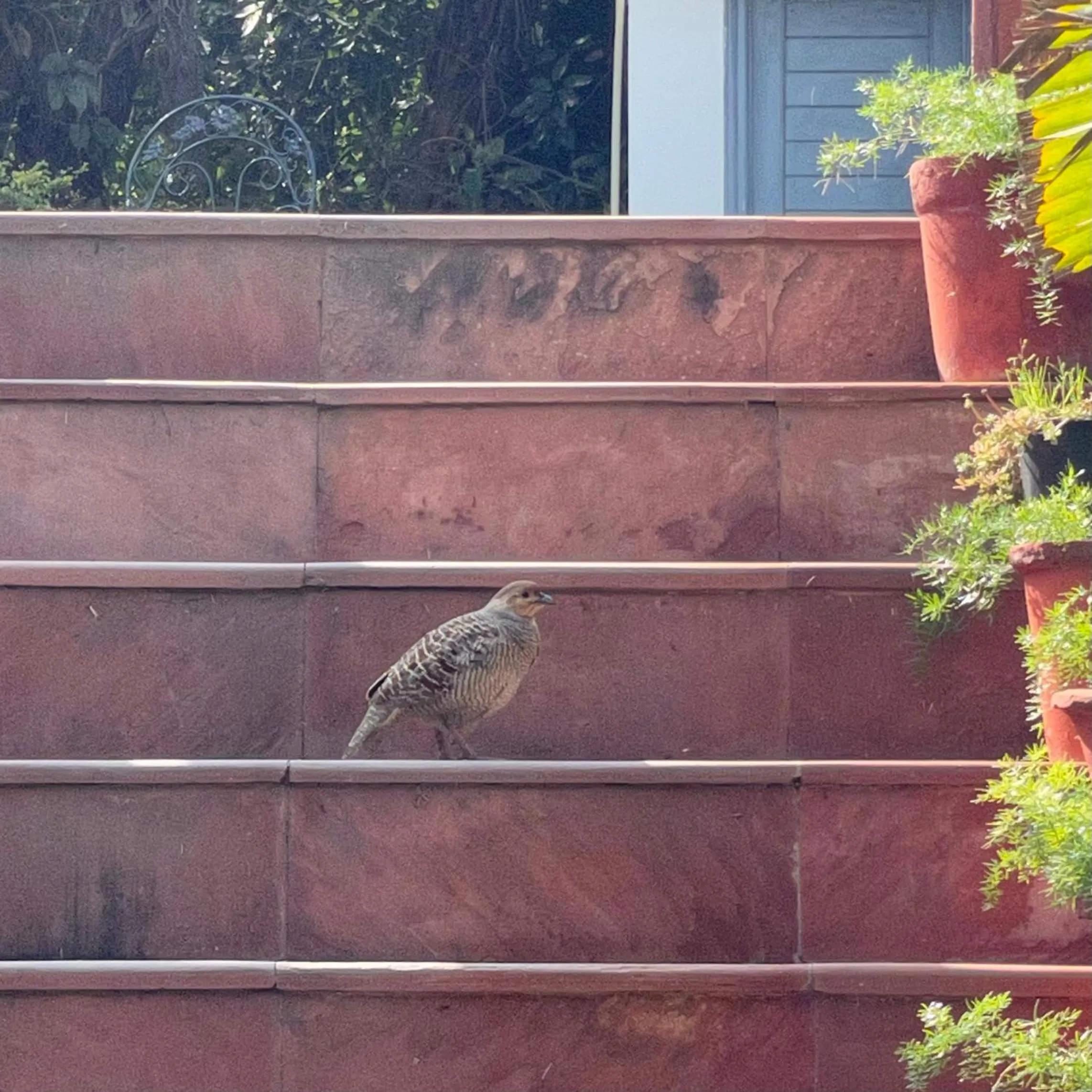 Day in The Stay Inn New Delhi