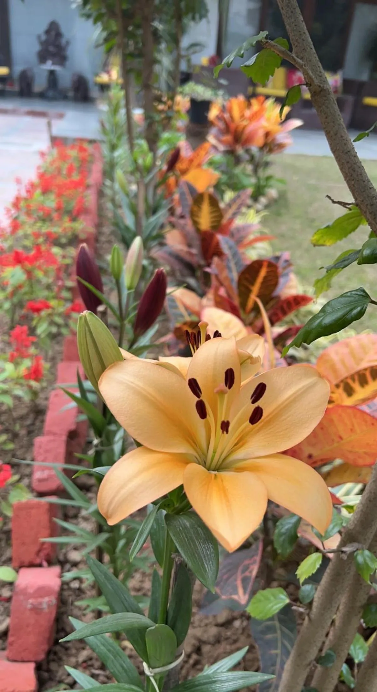 Spring in The Stay Inn New Delhi