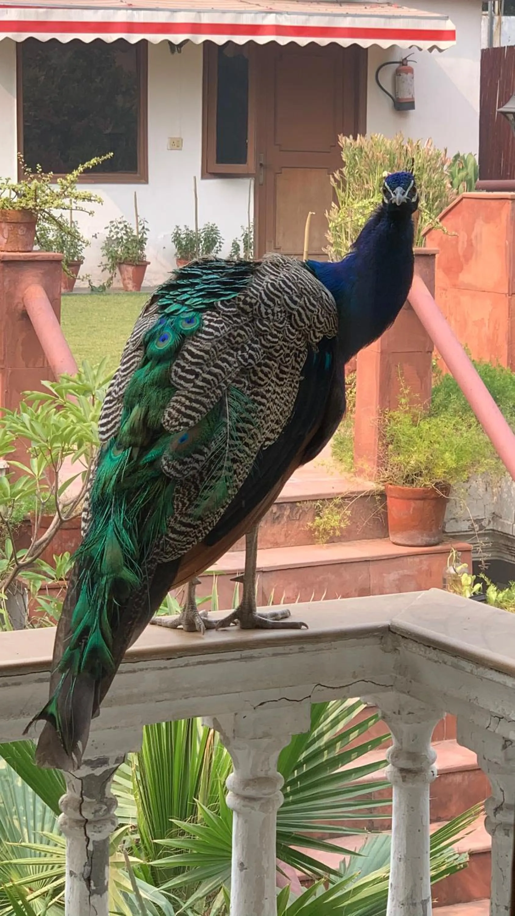 Day in The Stay Inn New Delhi