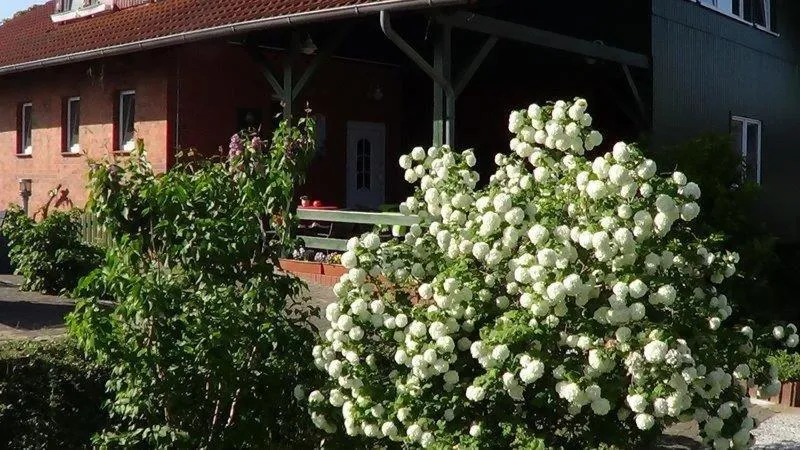 Hotel Marianne und Restaurant Kiek In