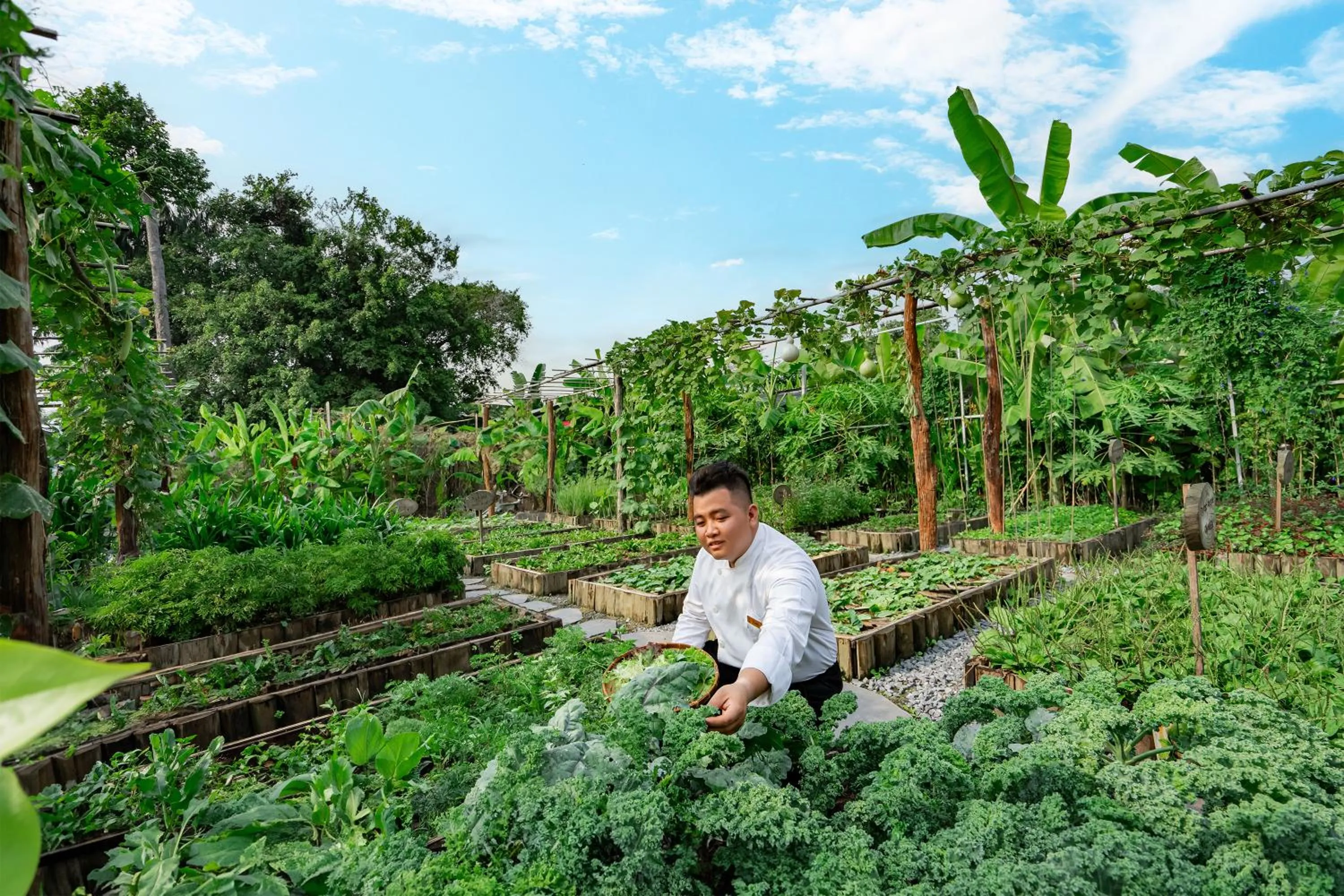 Garden in An Lam Retreats Saigon River