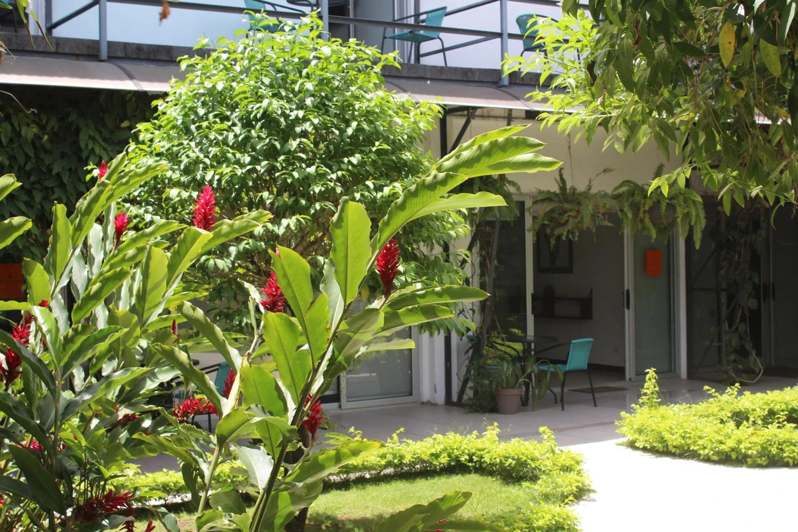 Cando Living Apartments in Central Avenue