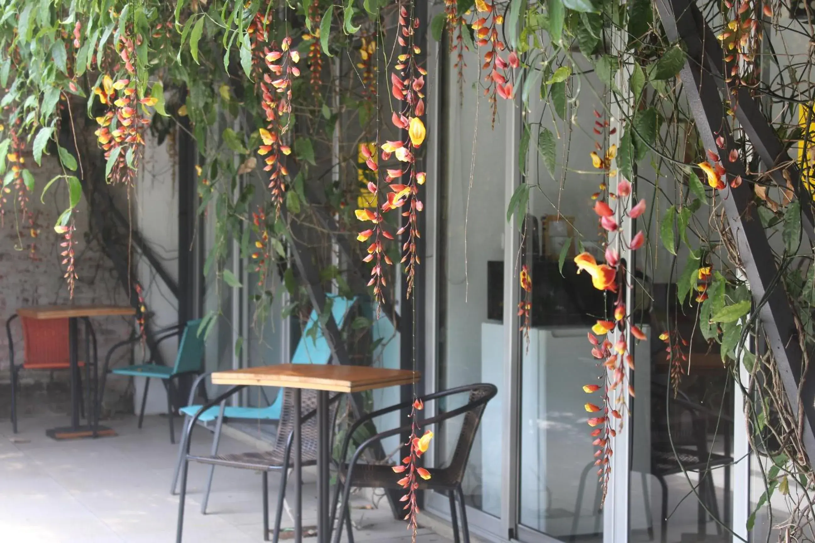 Double Room with Private Bathroom in Cando Living Apartments in Central Avenue Double Room with Private Bathroom in Cando Living Apartments in Central Avenue