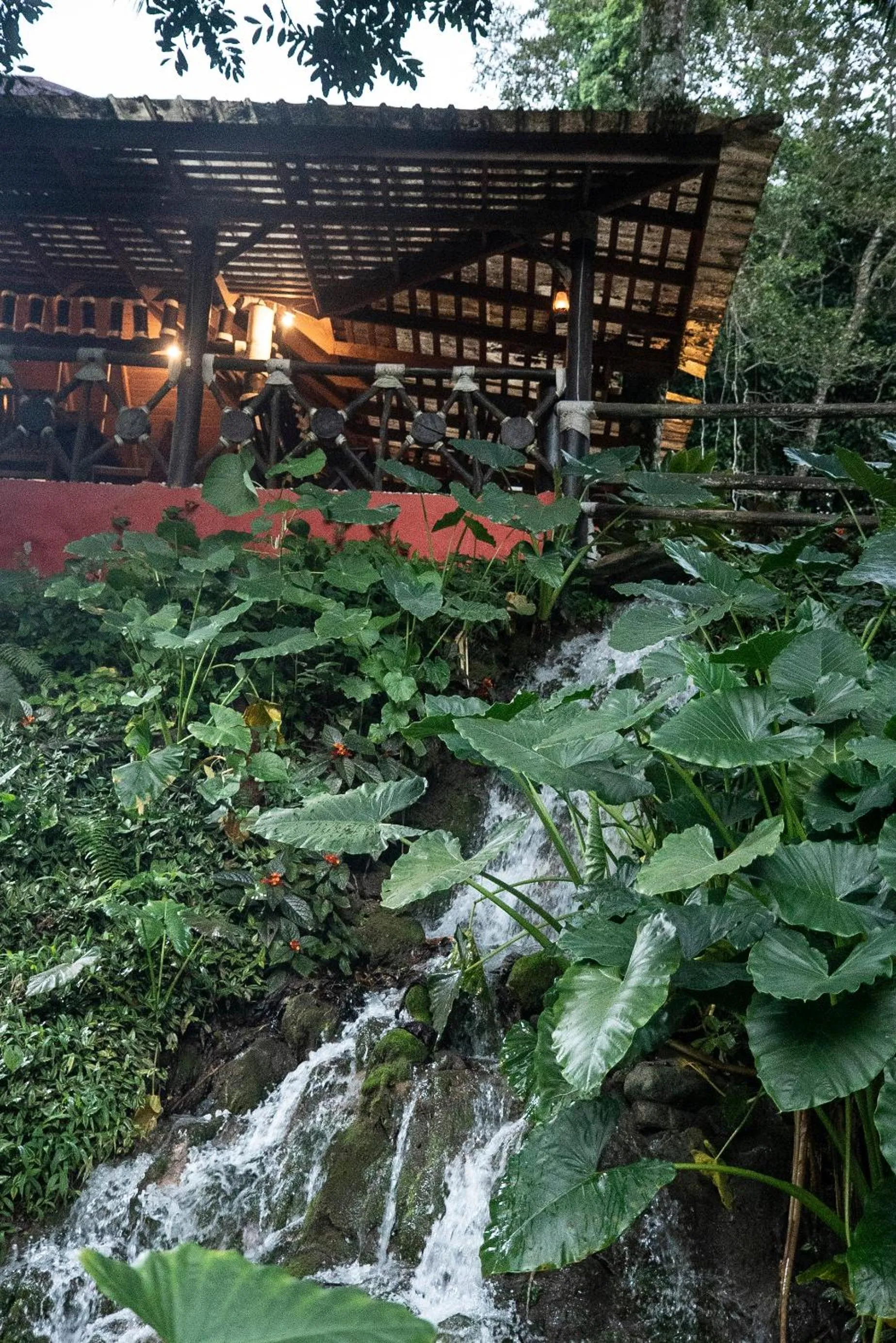 Restaurant/places to eat in Platon Ecolodge