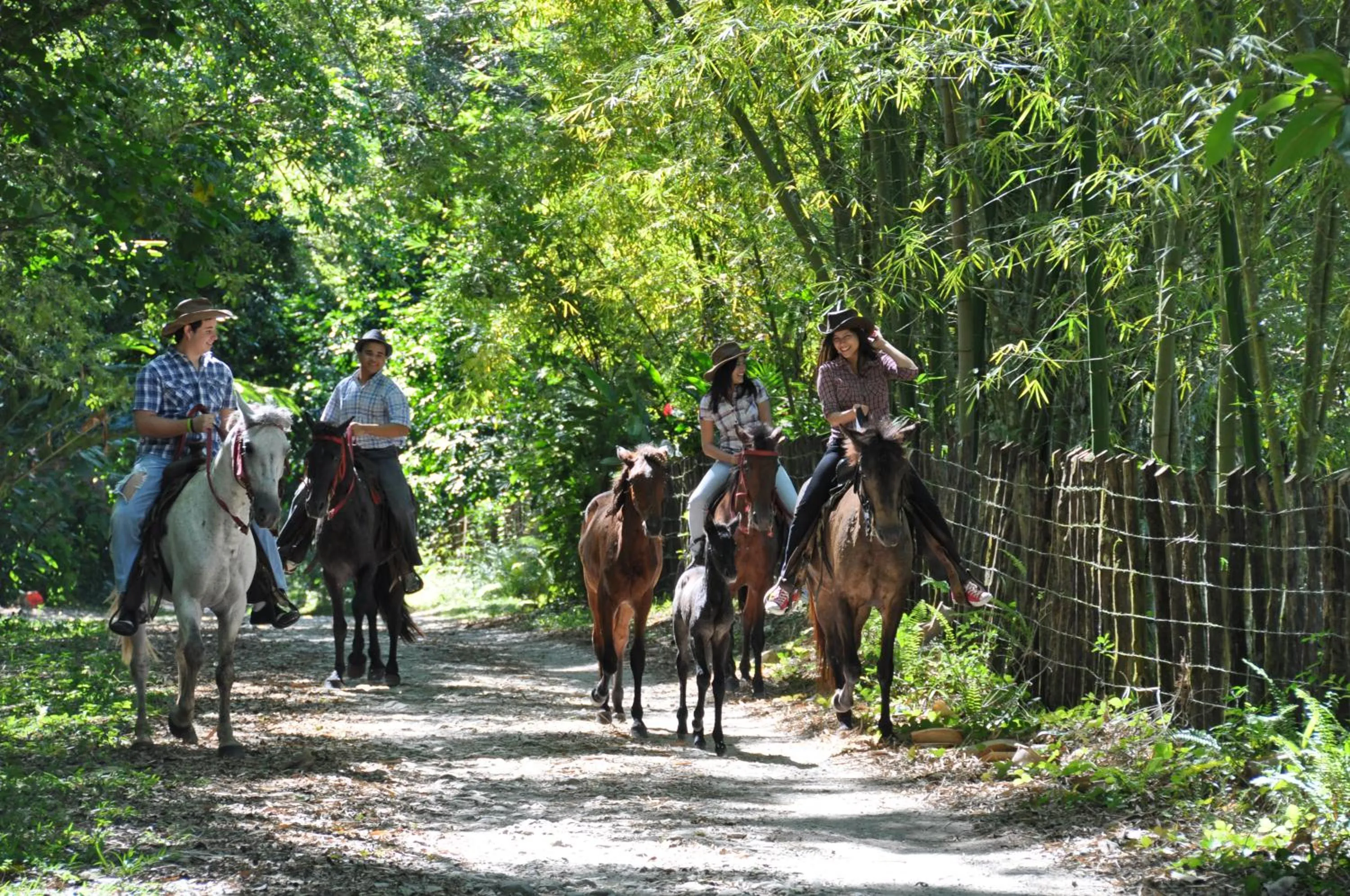 Horse-riding in Platon Ecolodge