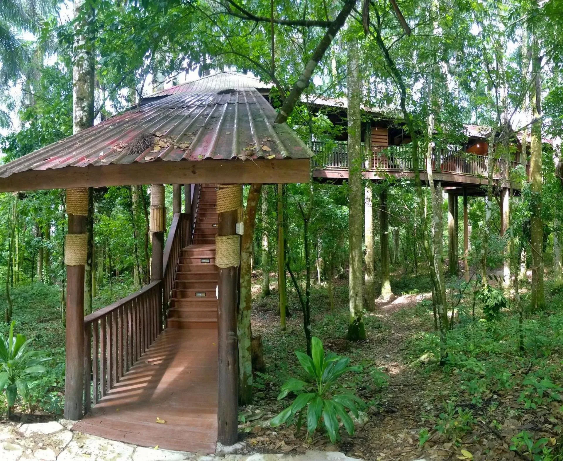 Property building in Platon Ecolodge
