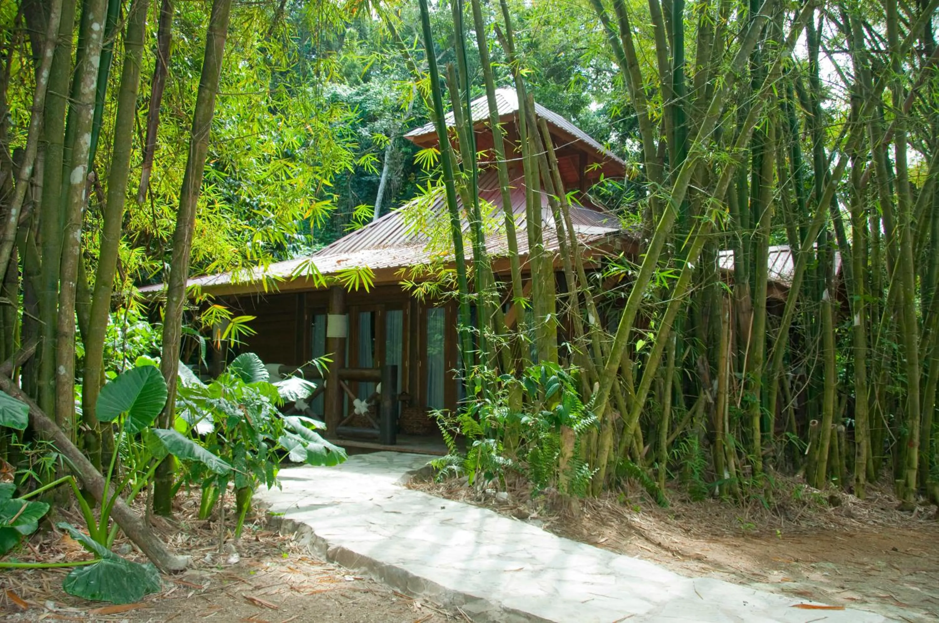 Property building in Platon Ecolodge