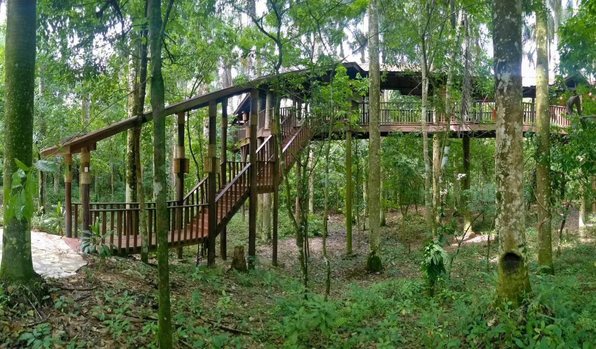 Property building in Platon Ecolodge