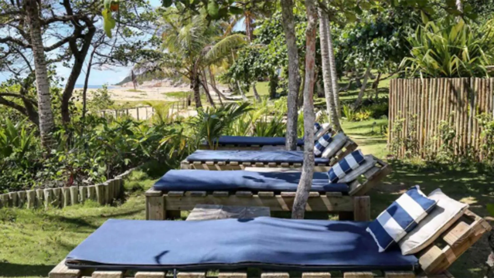 Garden in Hotel Calá & Divino