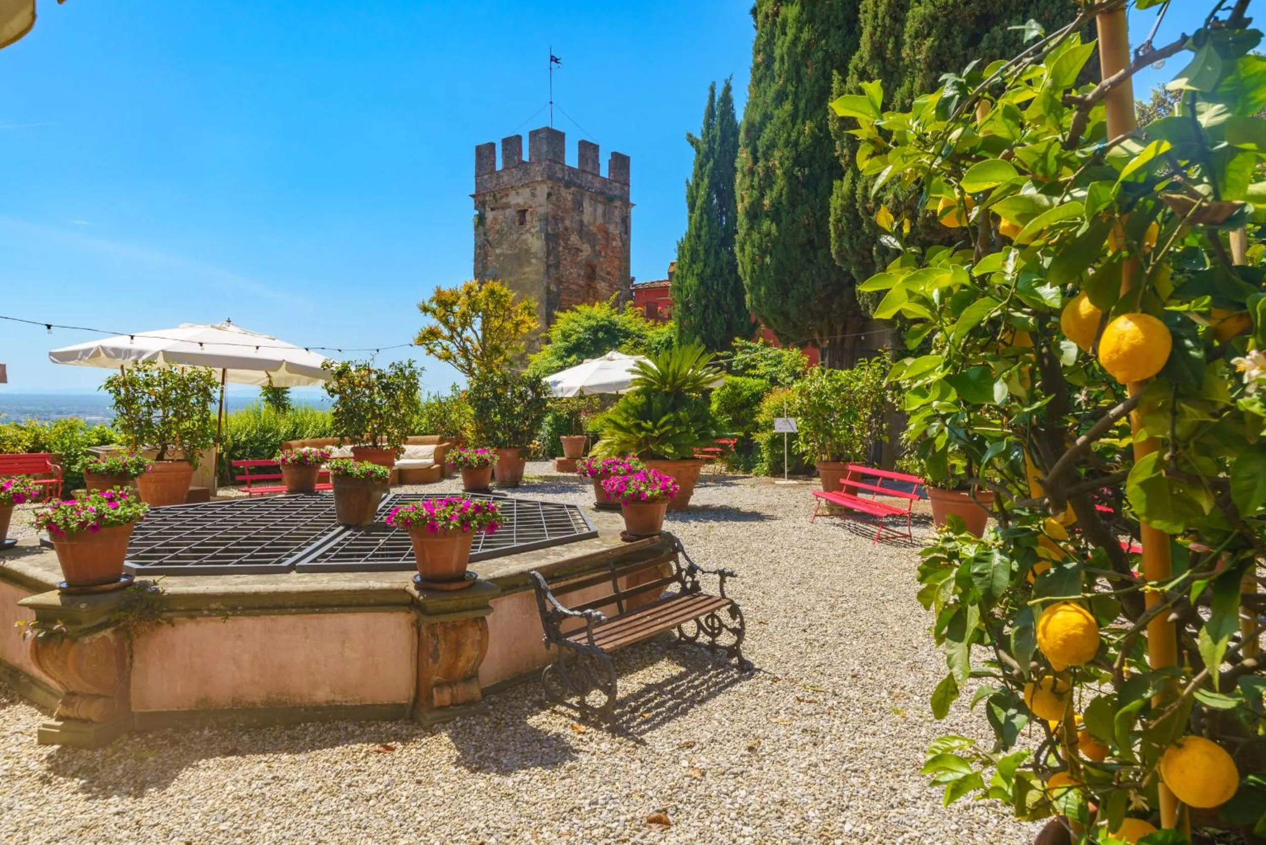 Garden in Hotel Villa Sermolli